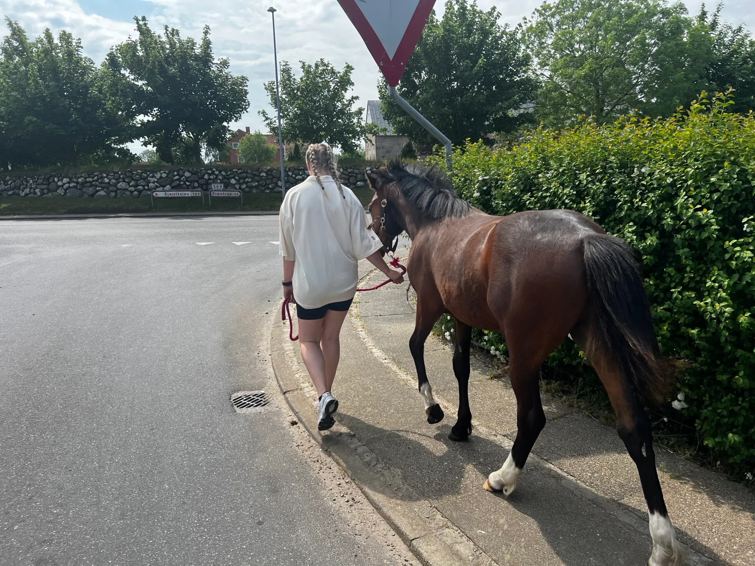 Pony til fremtiden!