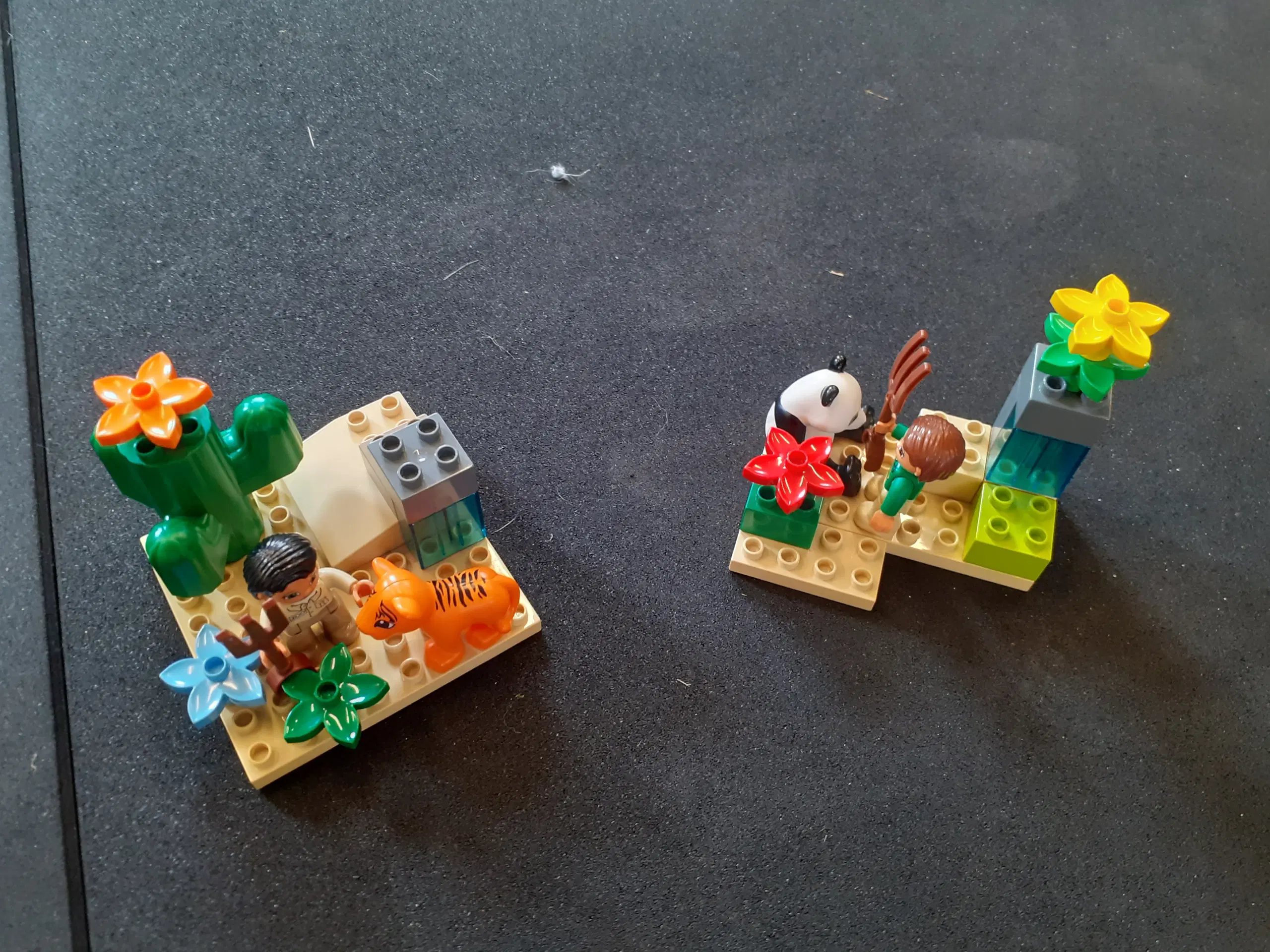 LEGO Duplo ZOO