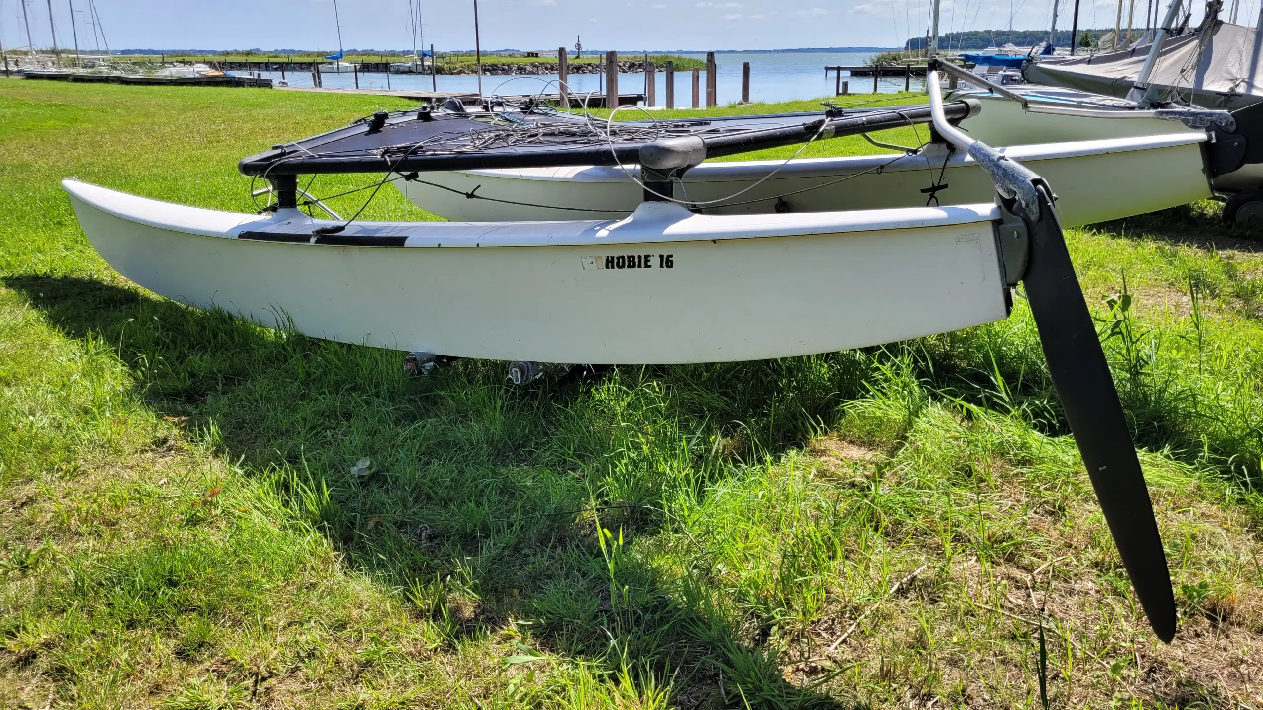 Vel sejlende Hobie Cat