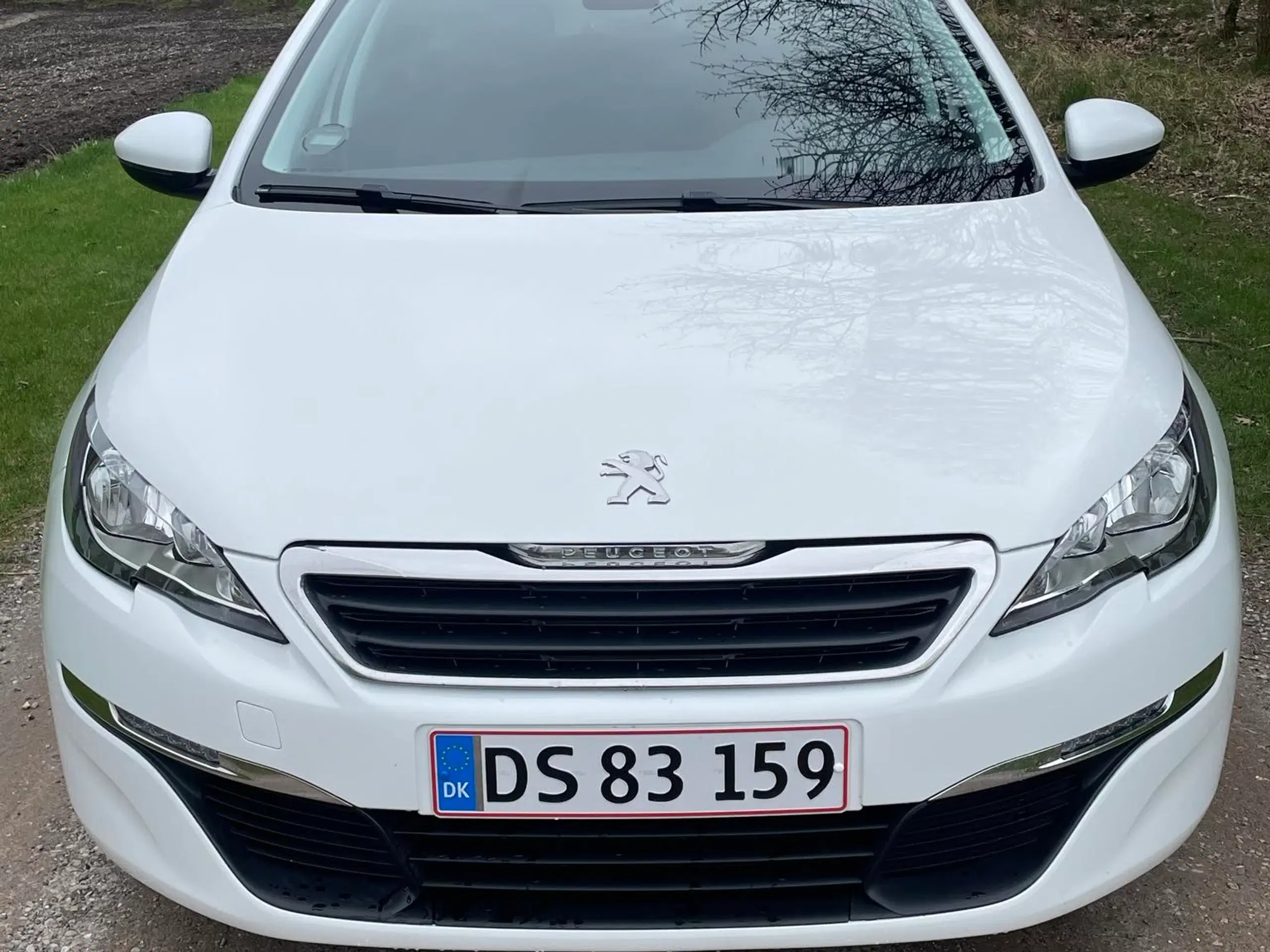 Peugeot 308 16 HDI billig vægtafgift