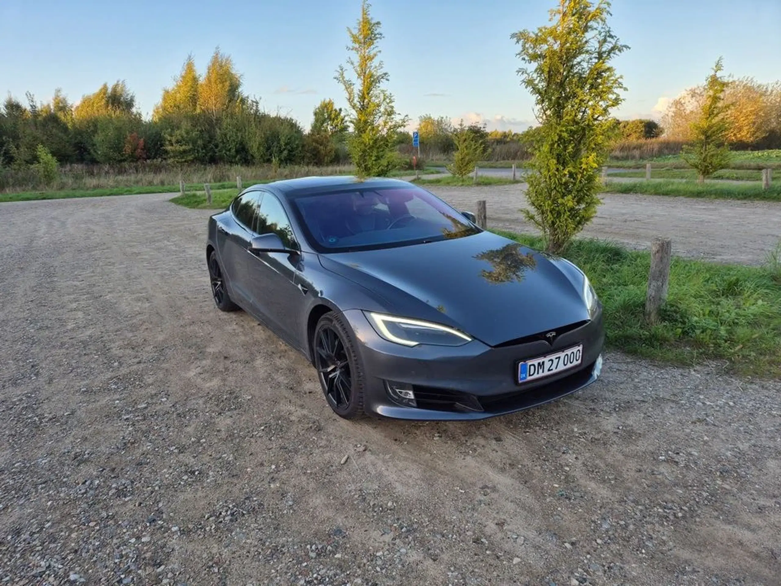 Tesla Model S 75D