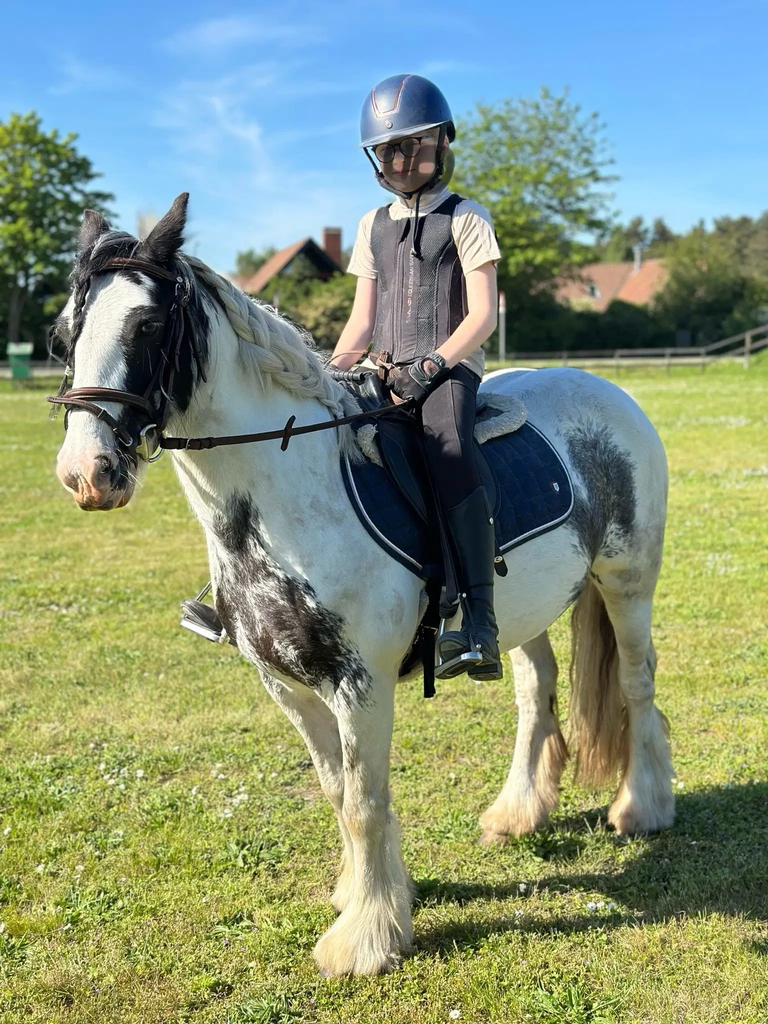 Sødeste irish cob pony