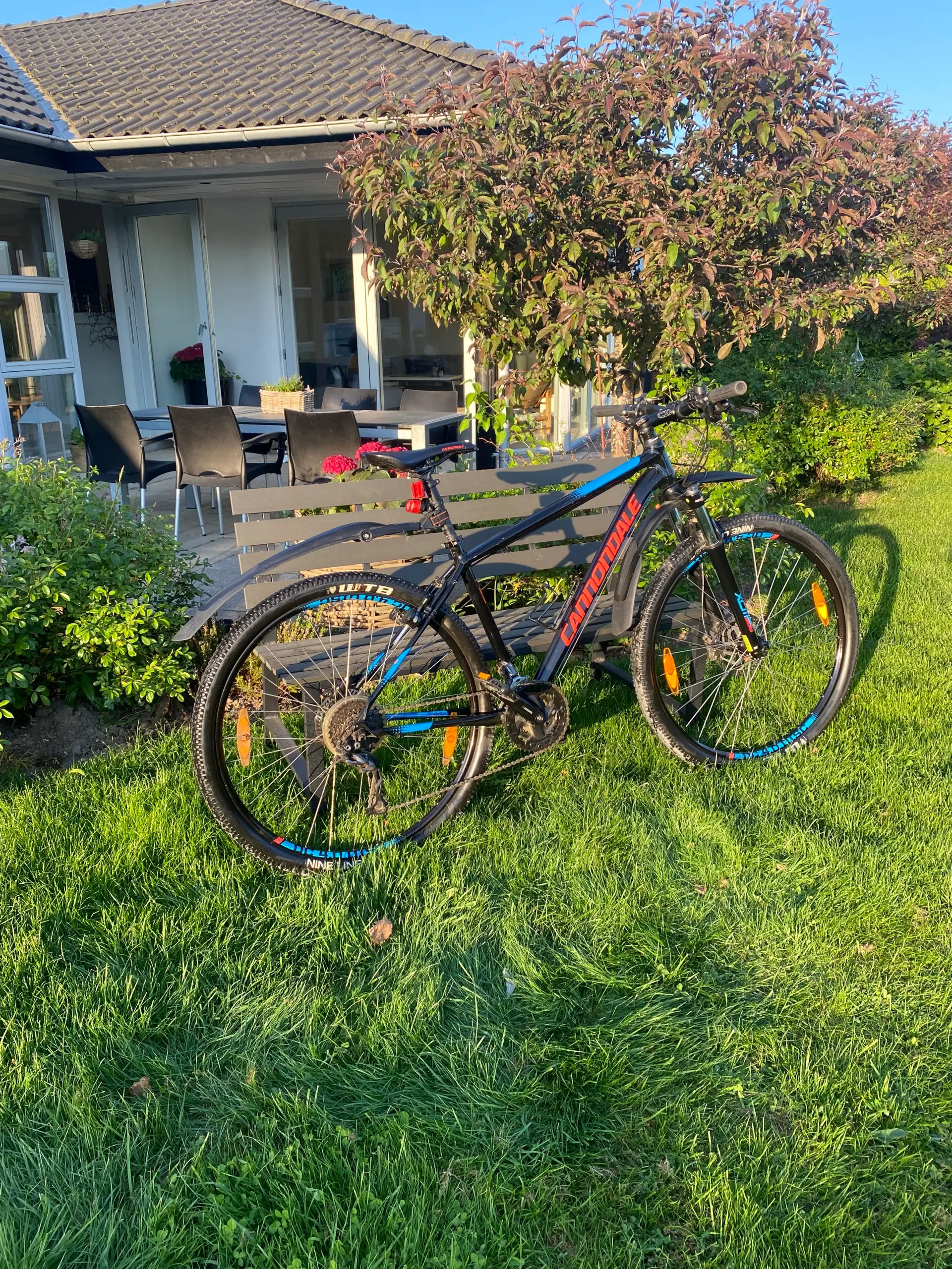 MTB Cannondale Trail 5 29”