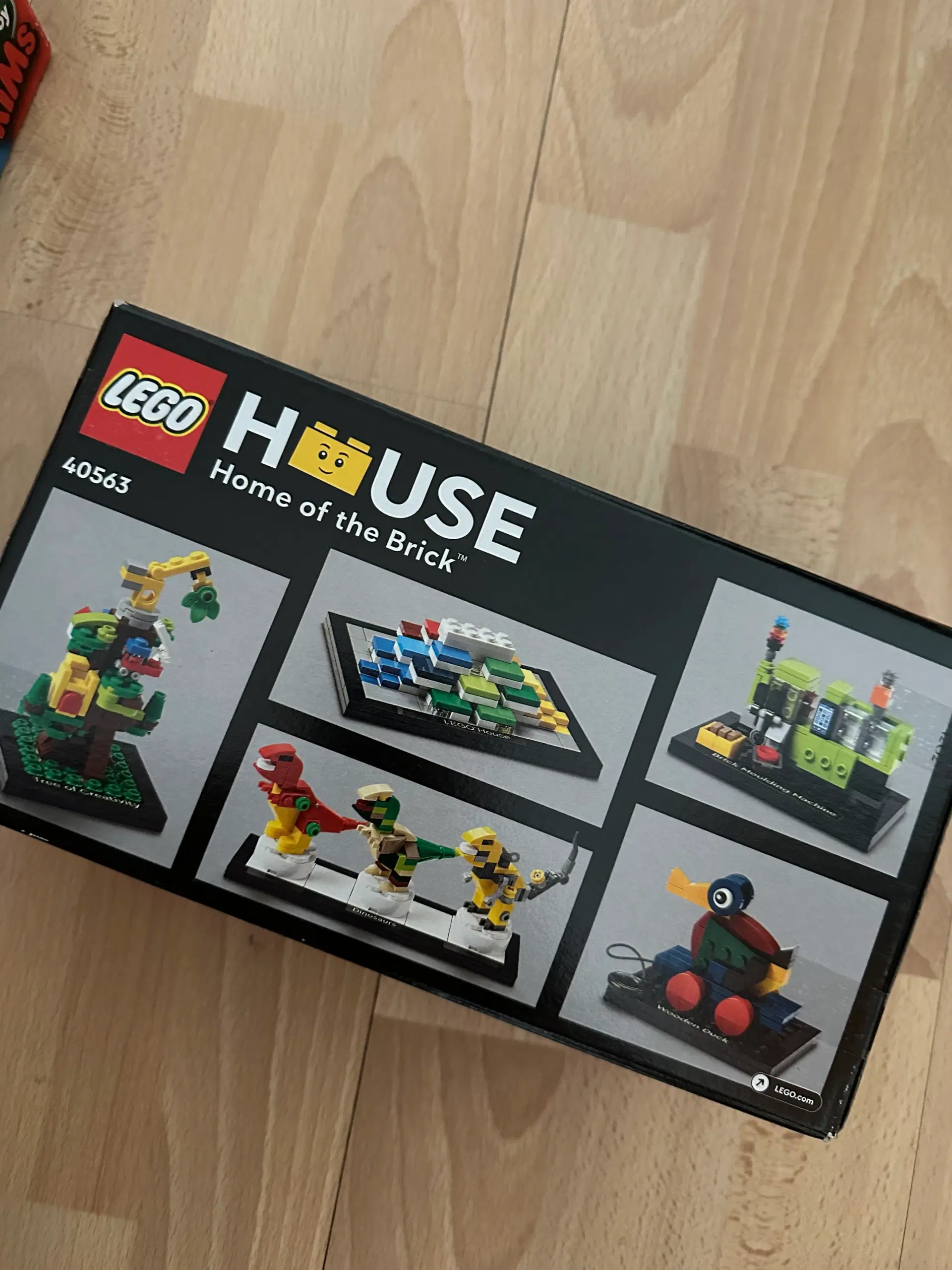 Lego House 40563