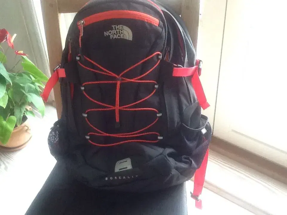 The north face skoletaske