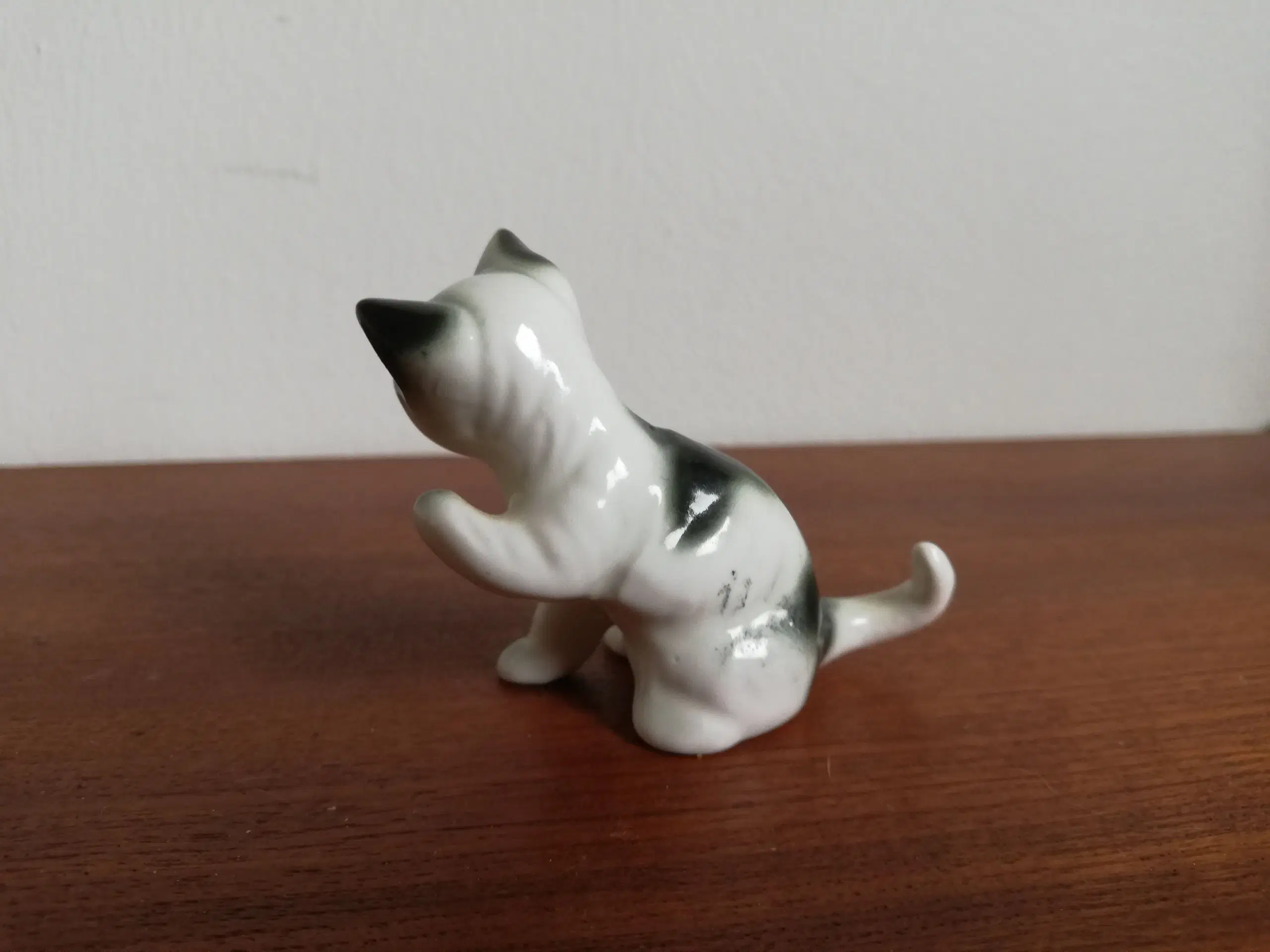 Porcelæns kat