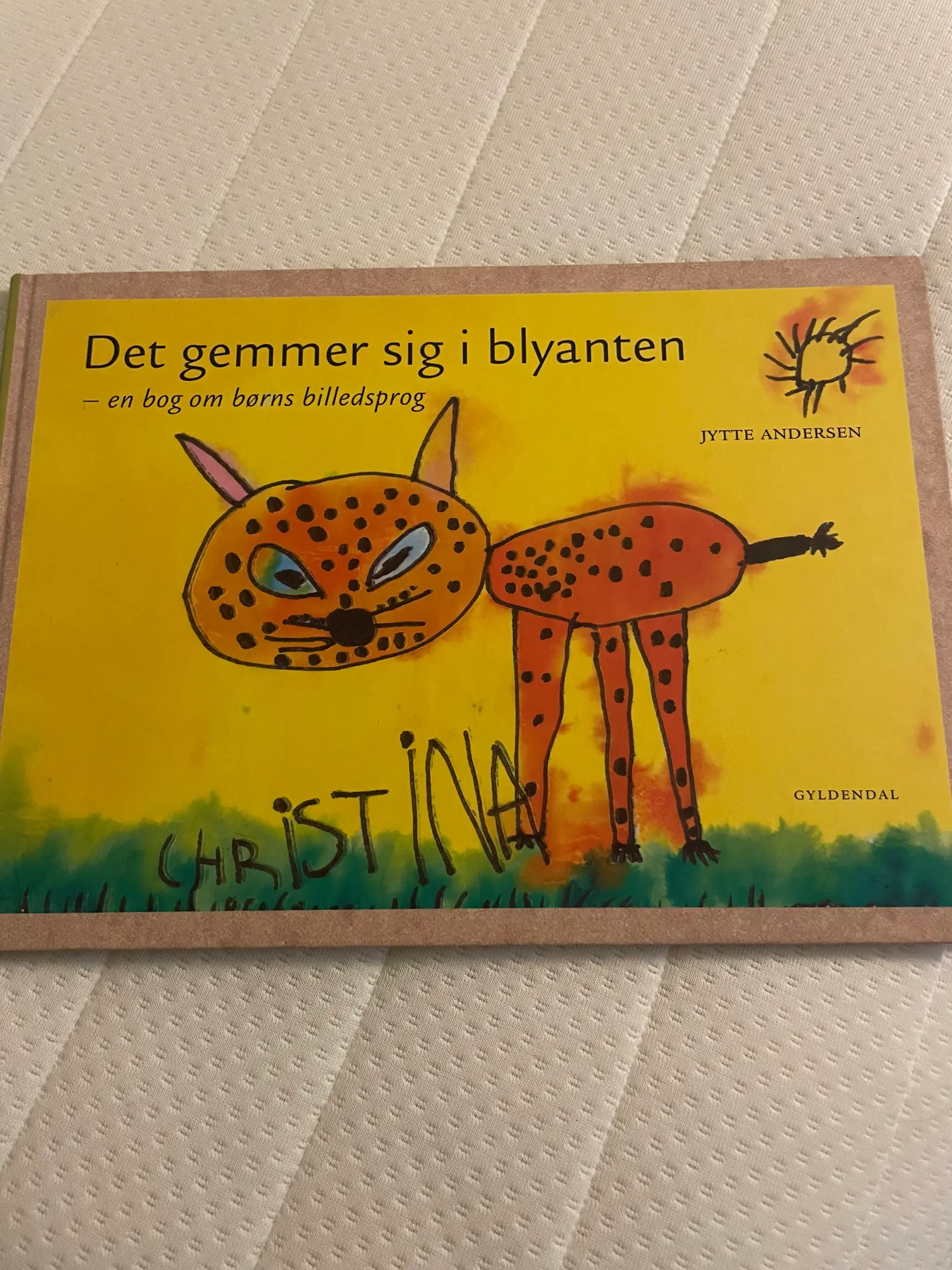 Bog: Det gemmer sig i blyanten