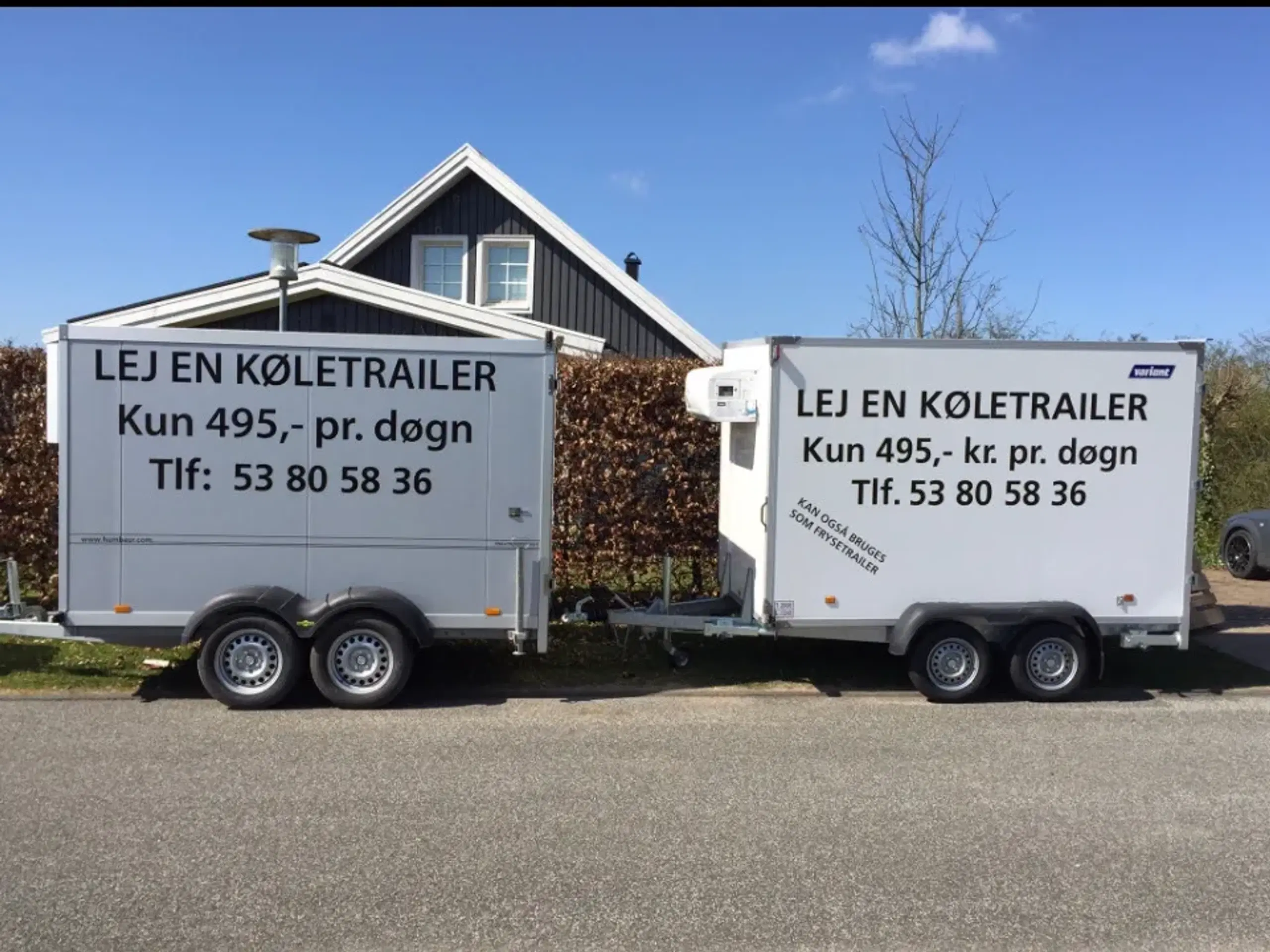 Køle eller frysetrailer udlejes