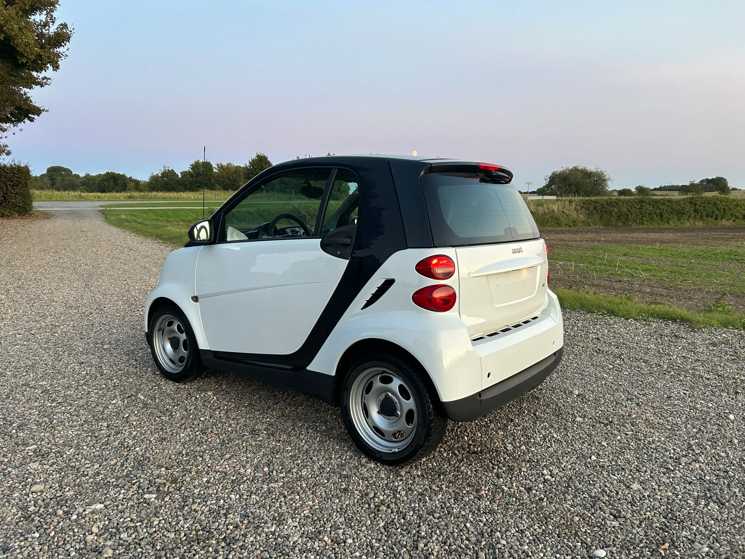 Smart fortwo 08cdi