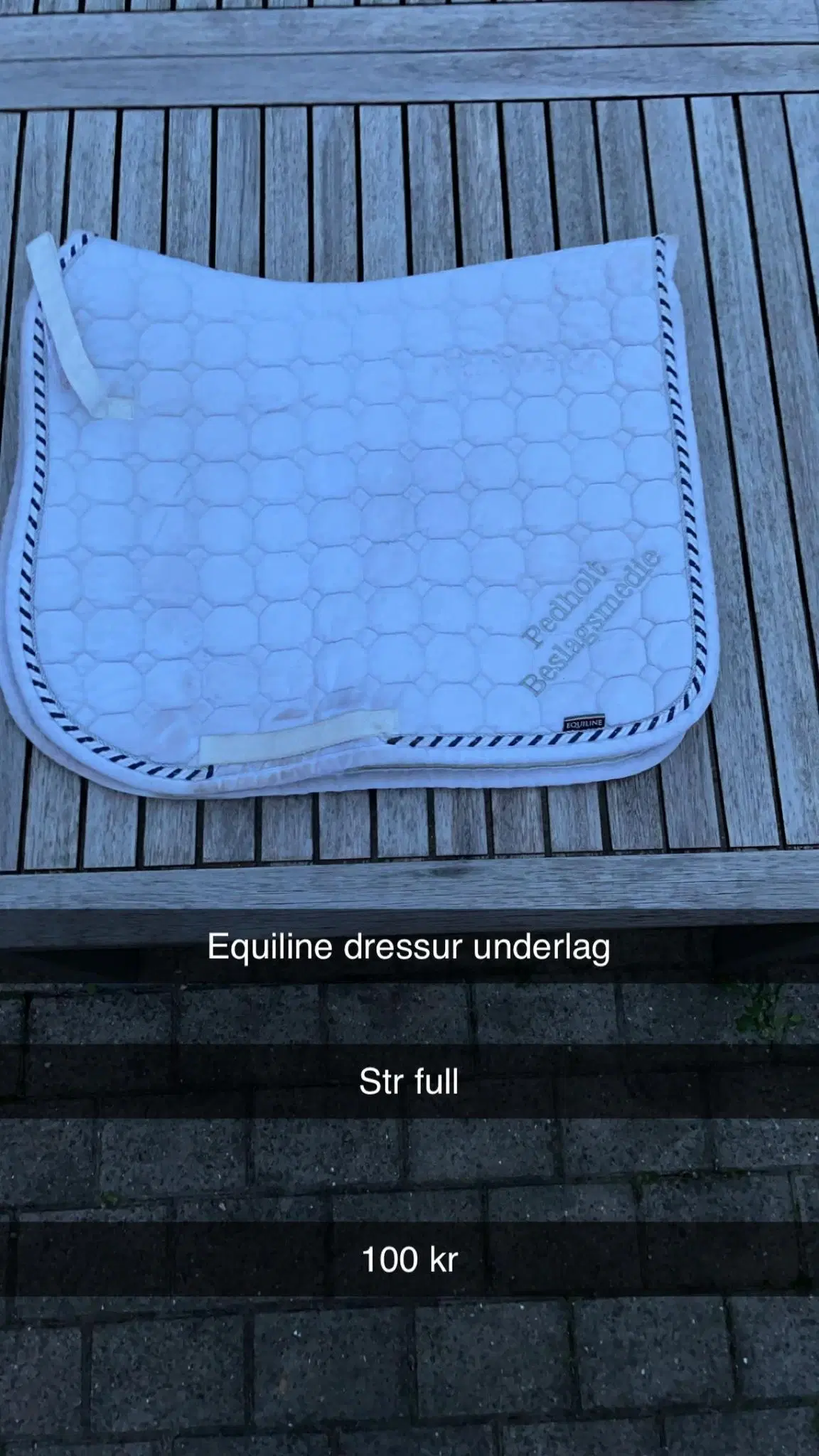 udstyr til hest