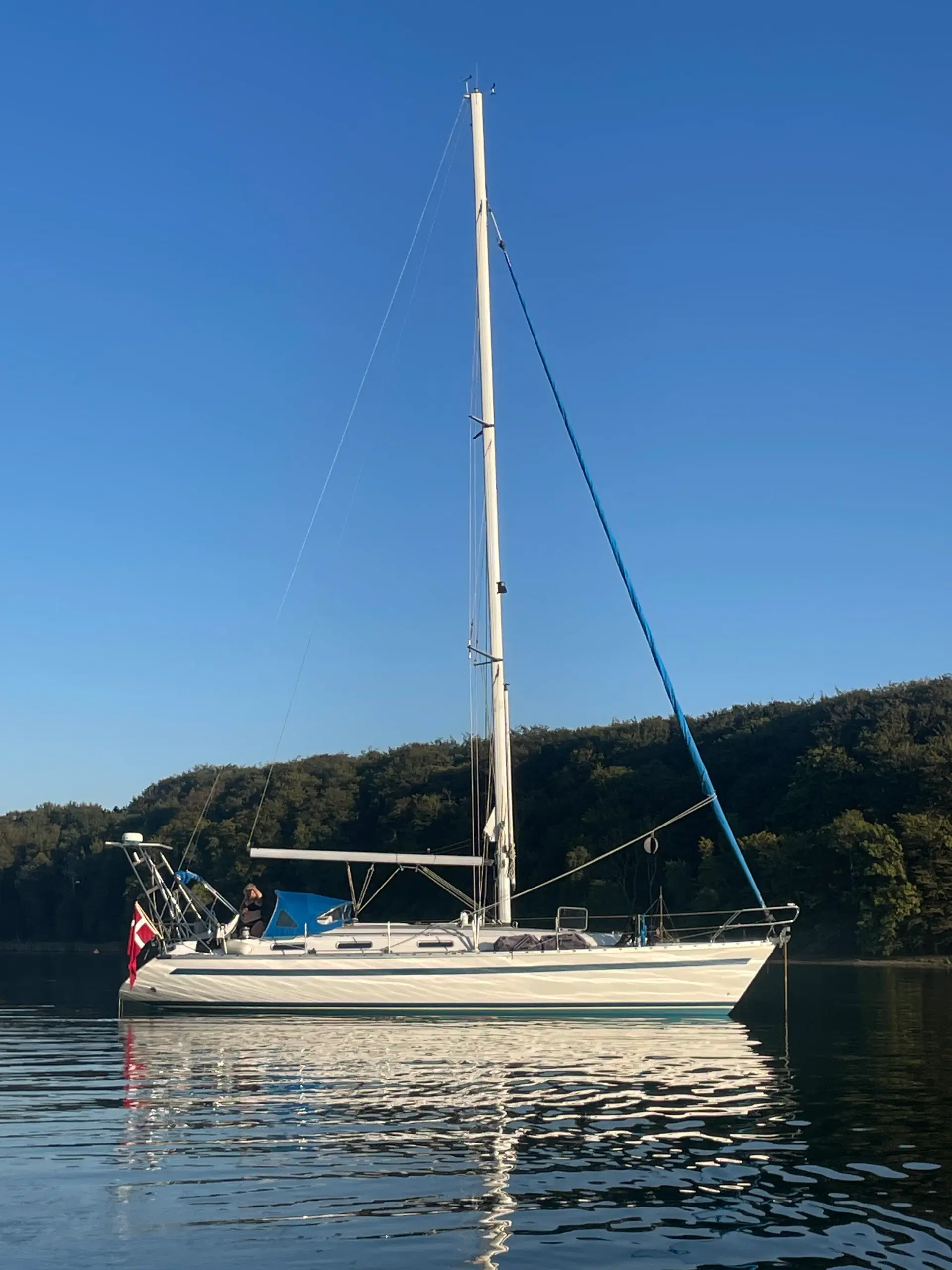 Bavaria 41 H