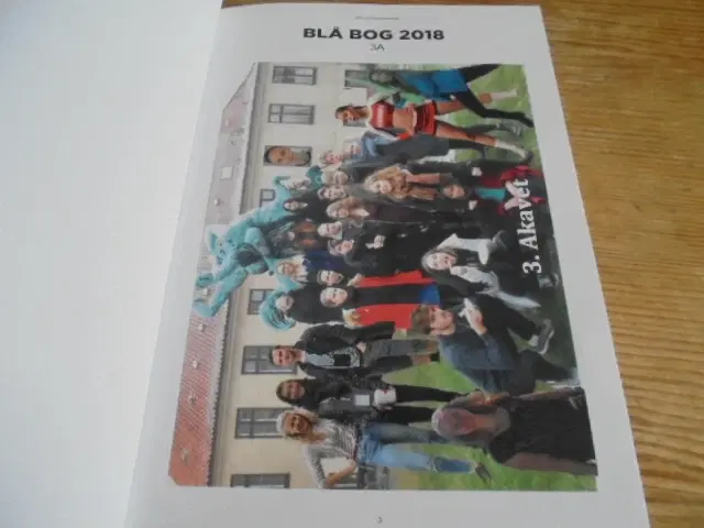 Viborg Katedralskole – Blå bog 2018