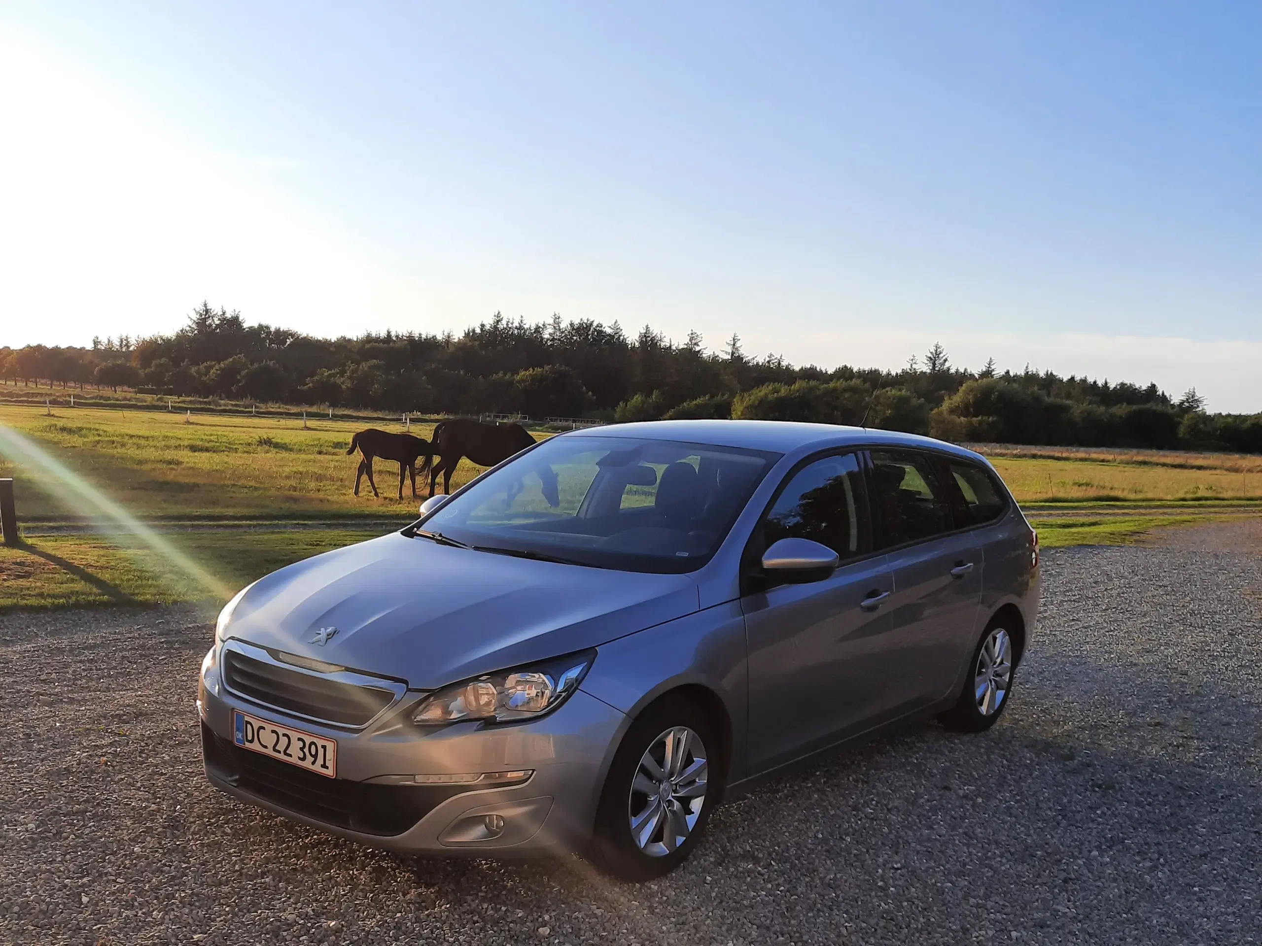 Peugeot 308 16 Hdi sw