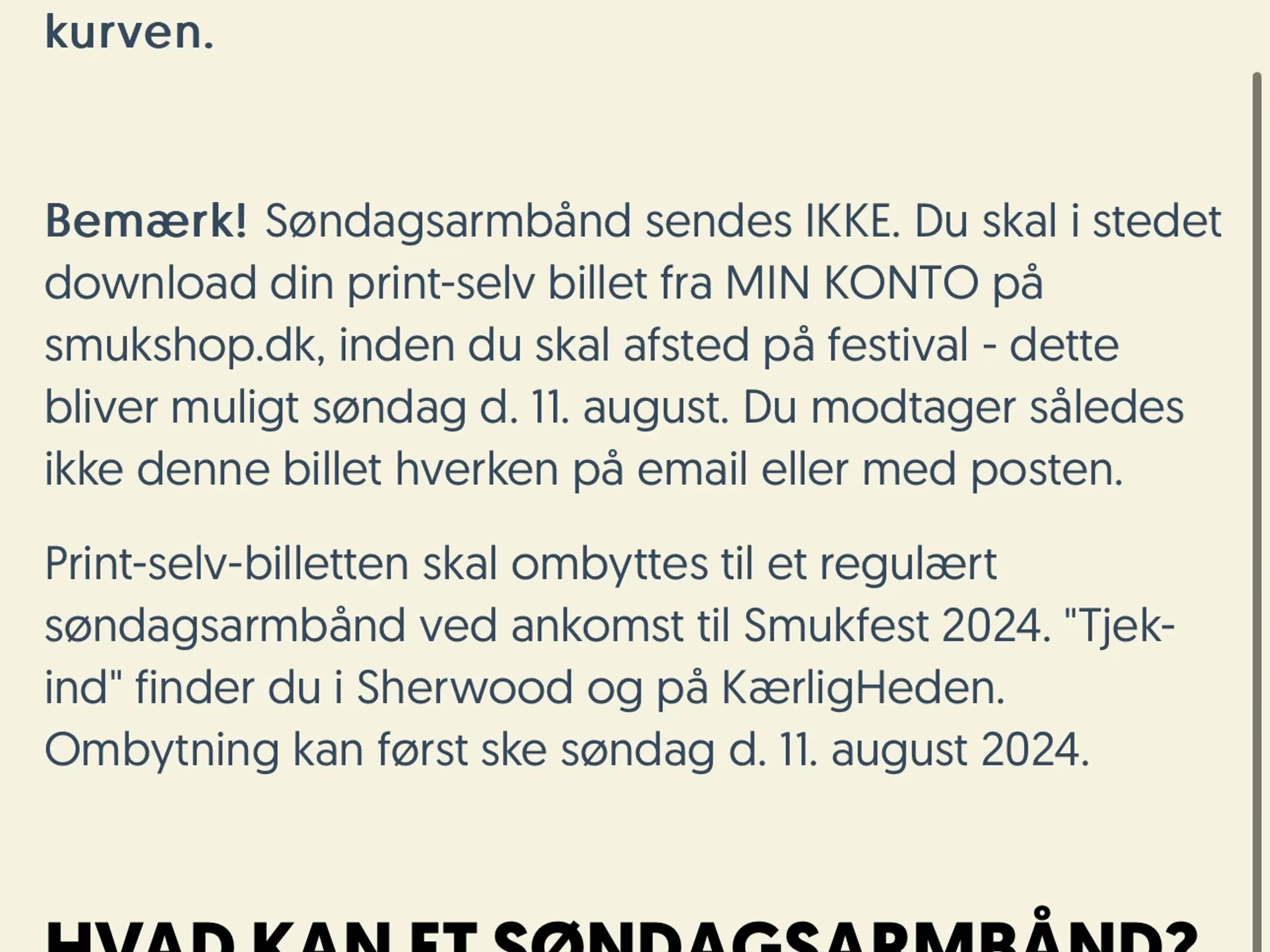 Smukfest armbånd søndag