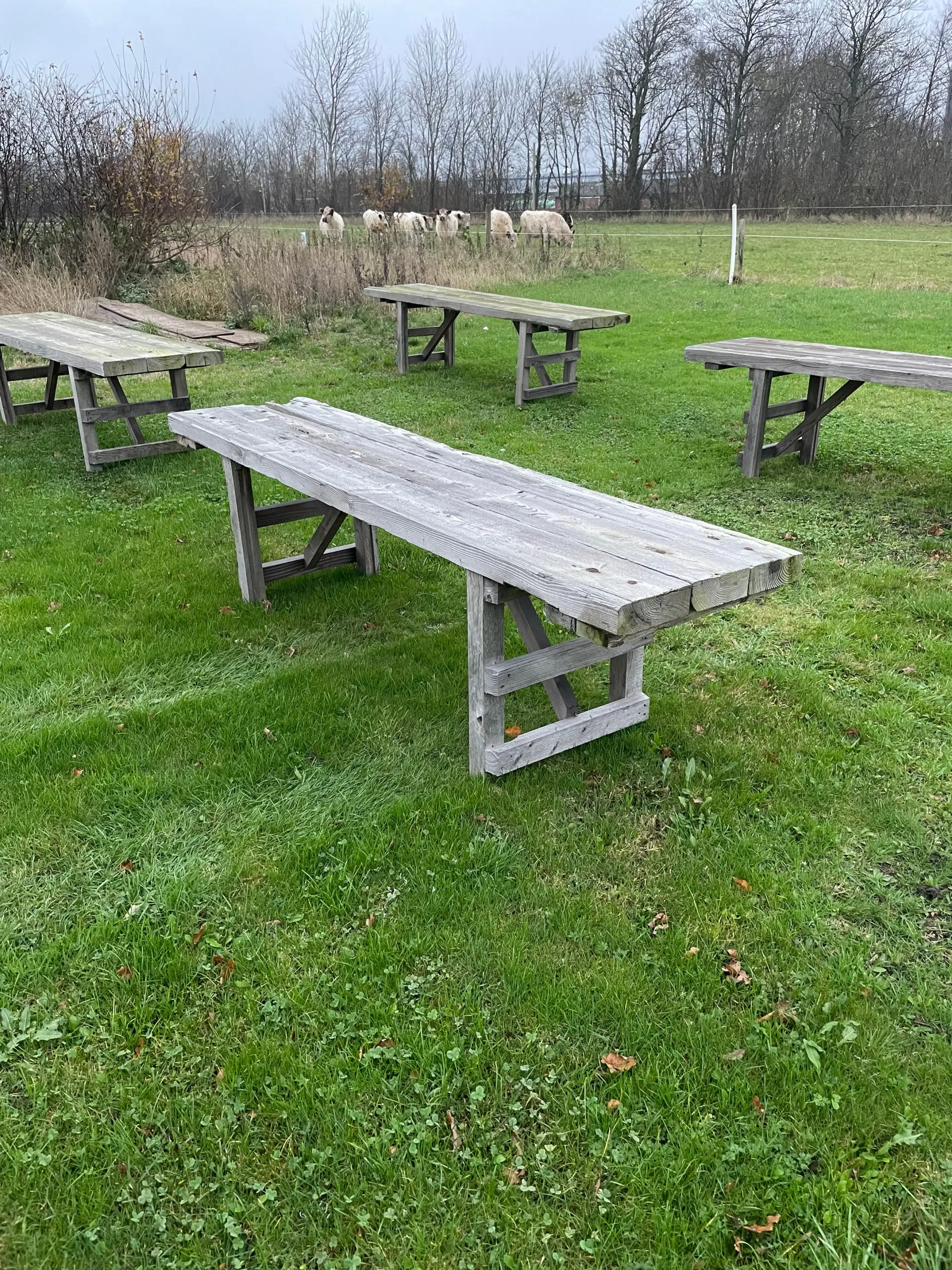 havebord kraftig