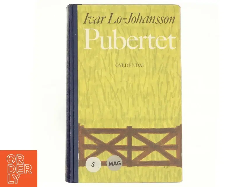 Pubertet af Ivar Lo-Johansen