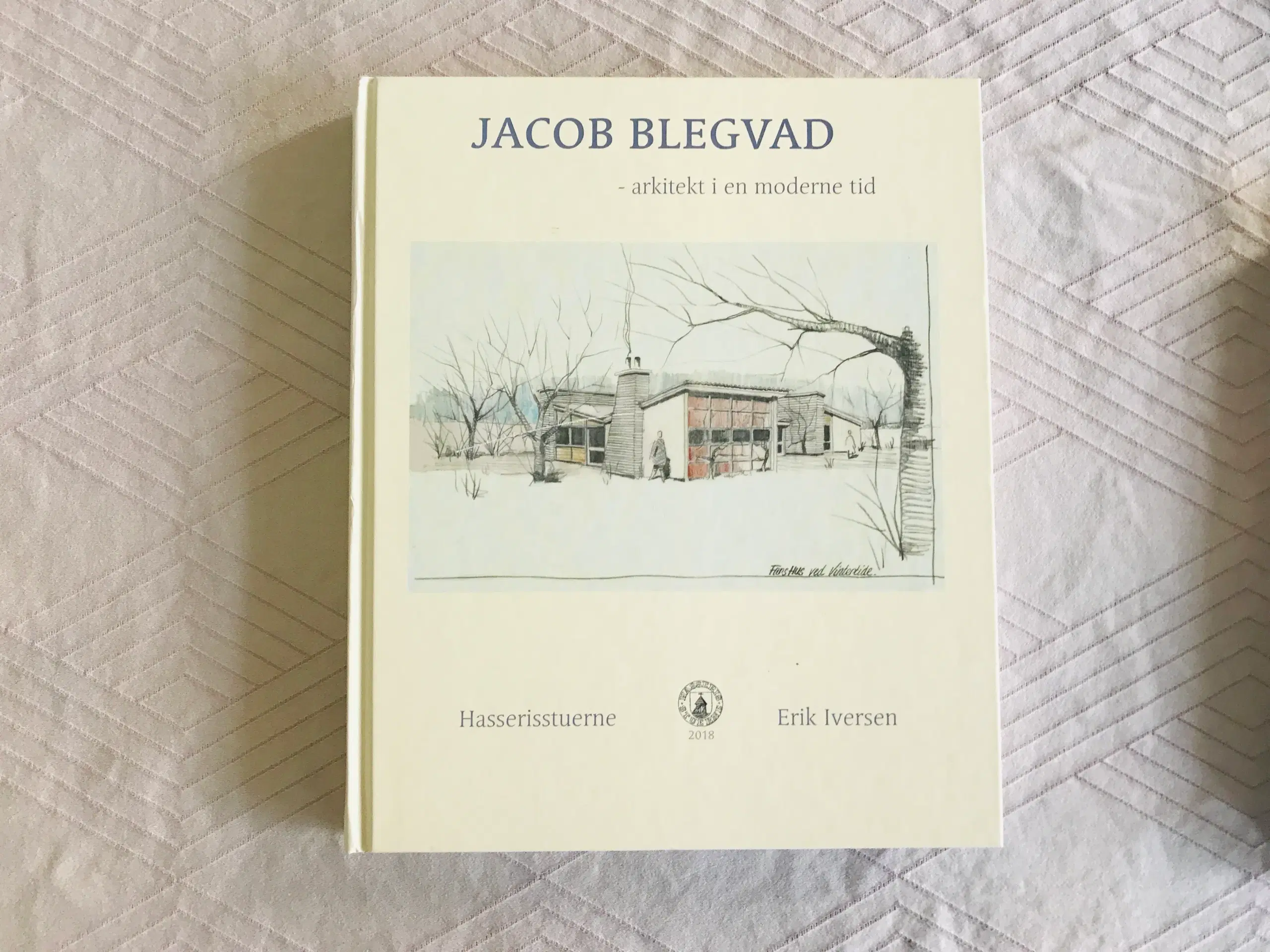 Jacob Blegvad - arkitekt i en moderne tid