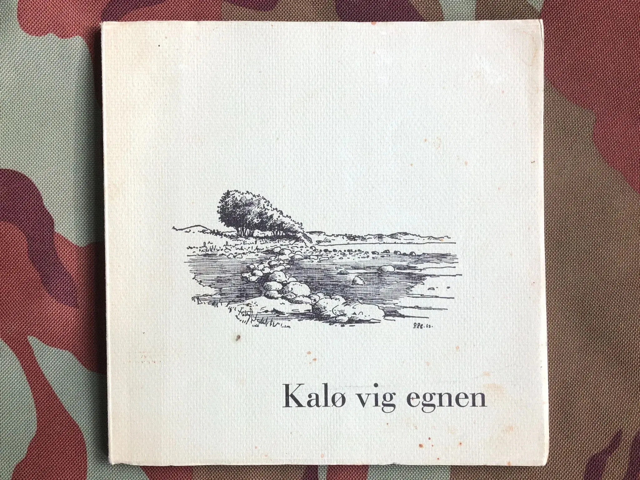 Kalø vig egnen