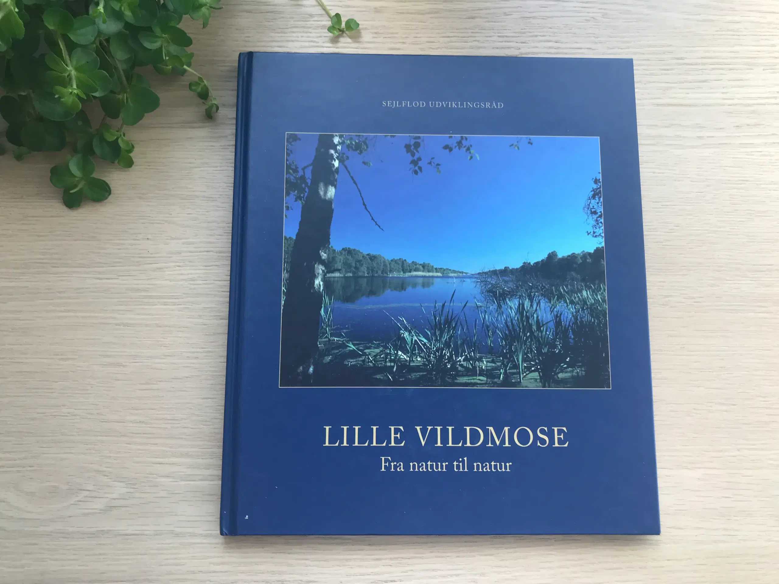 Lille Vildmose   Fra natur til natur