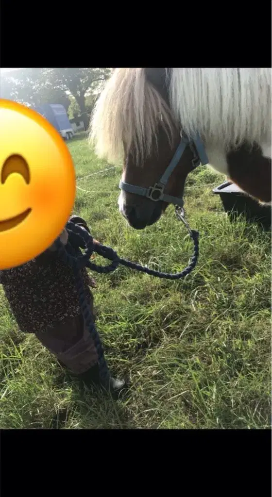 Lække pony