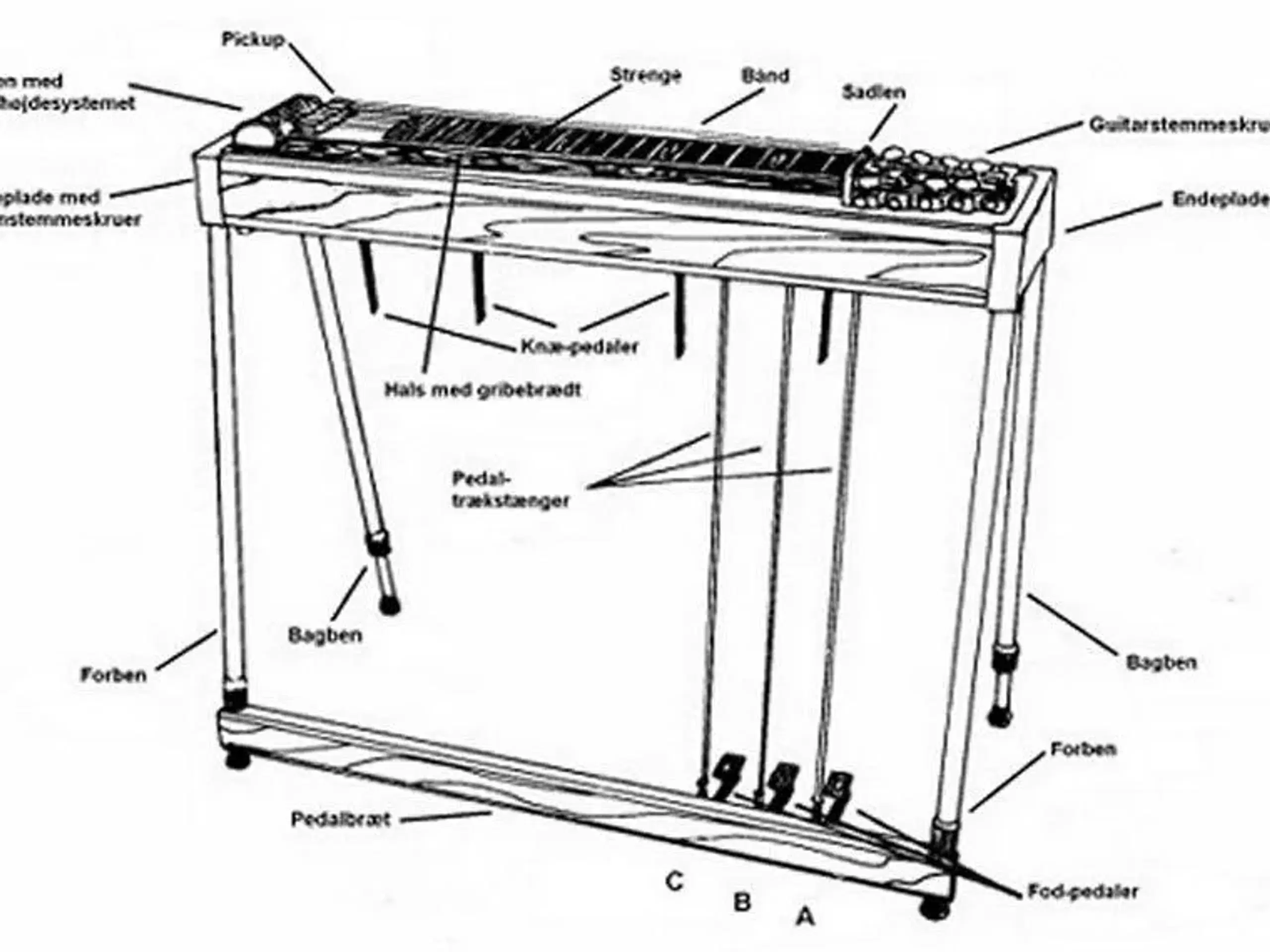 Pedal Steel Guitar