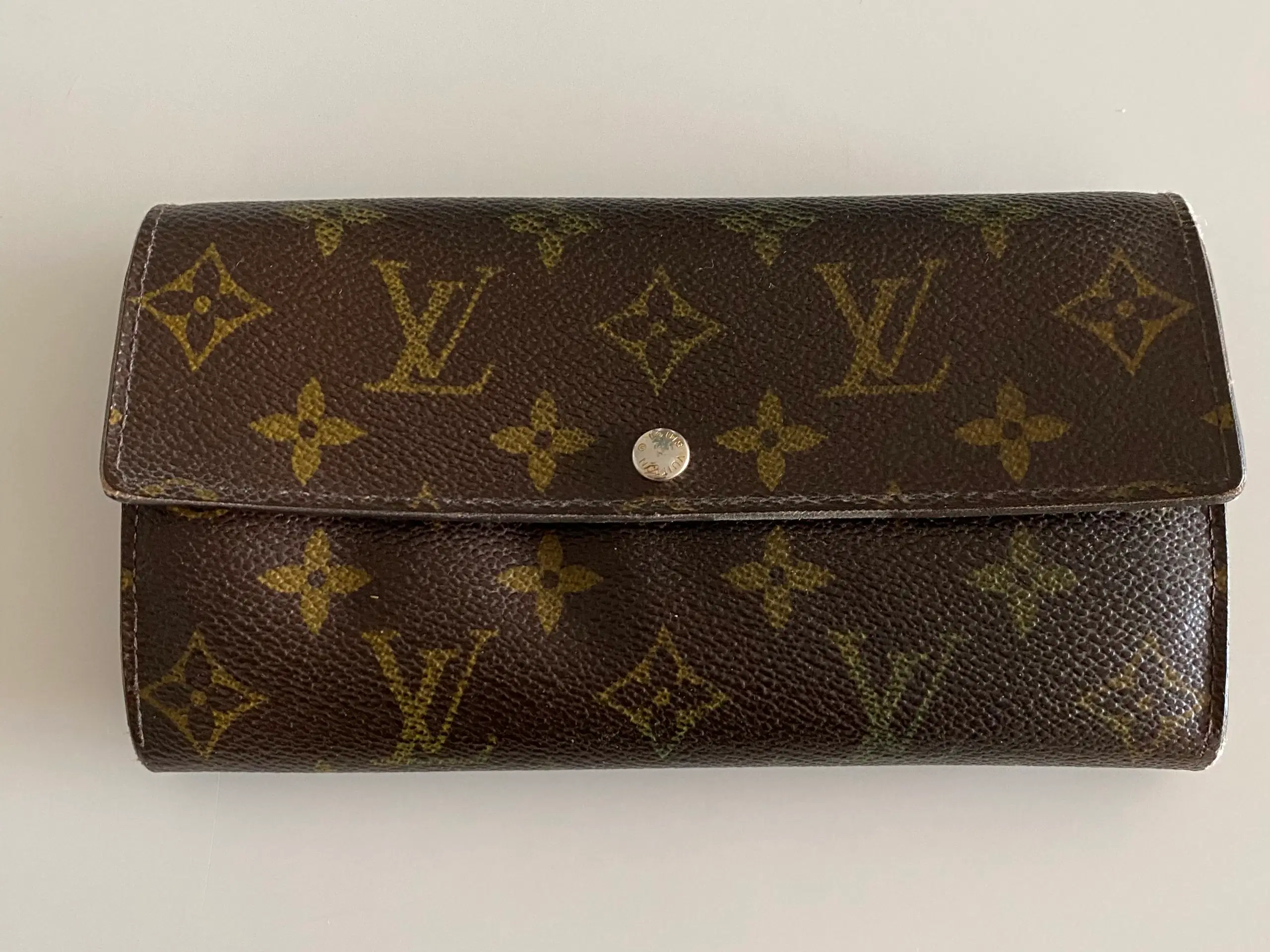 Louis Vuitton pung