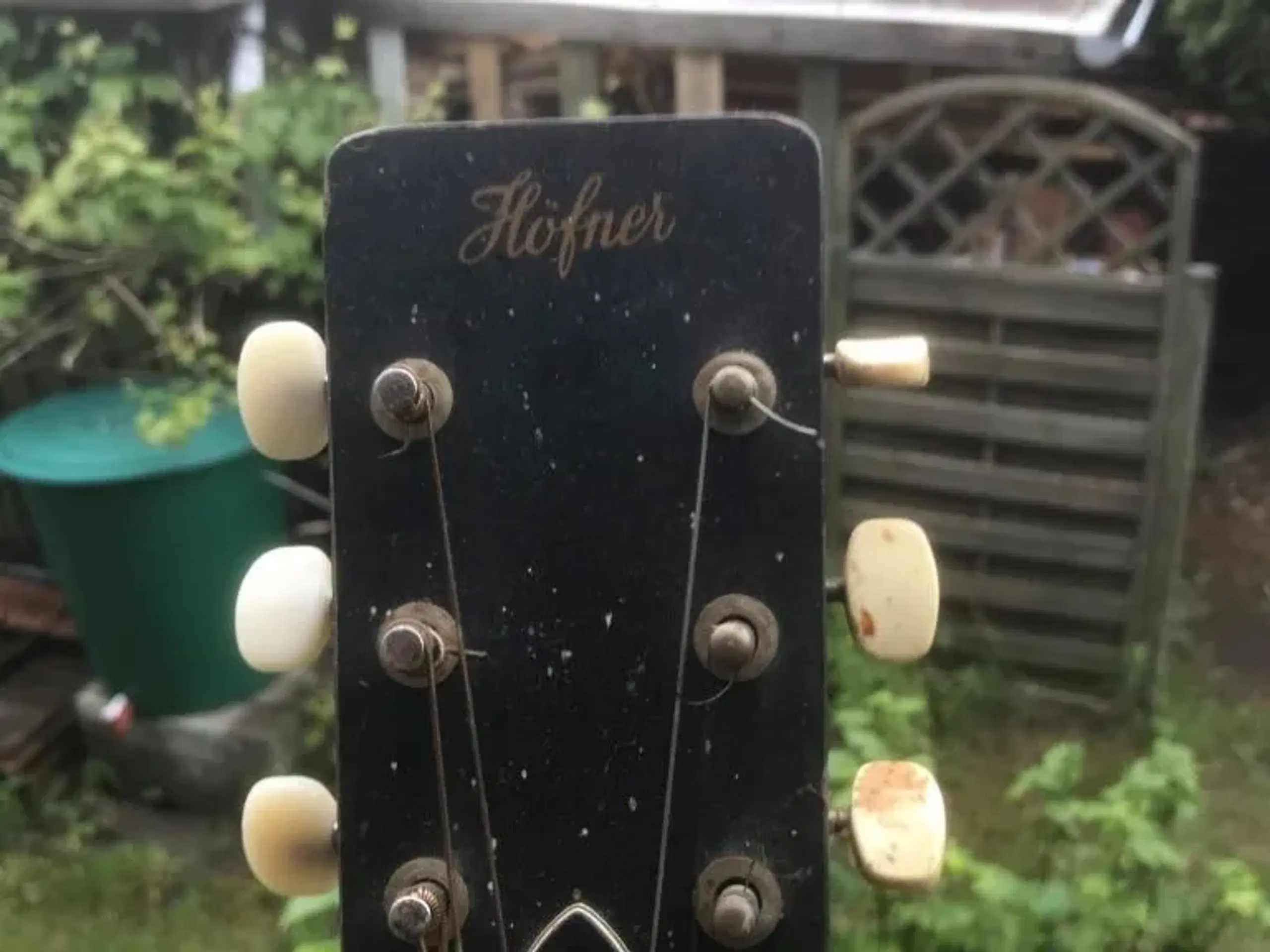 Høfner guitar