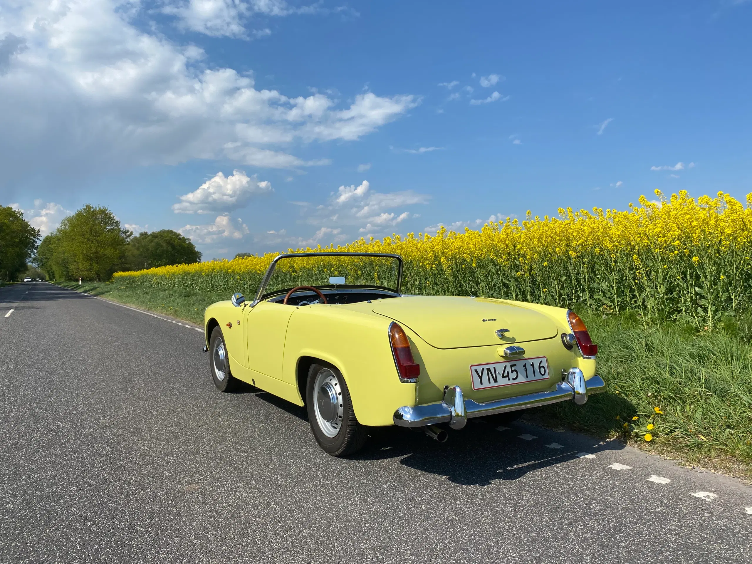 Austin Healey Sprite