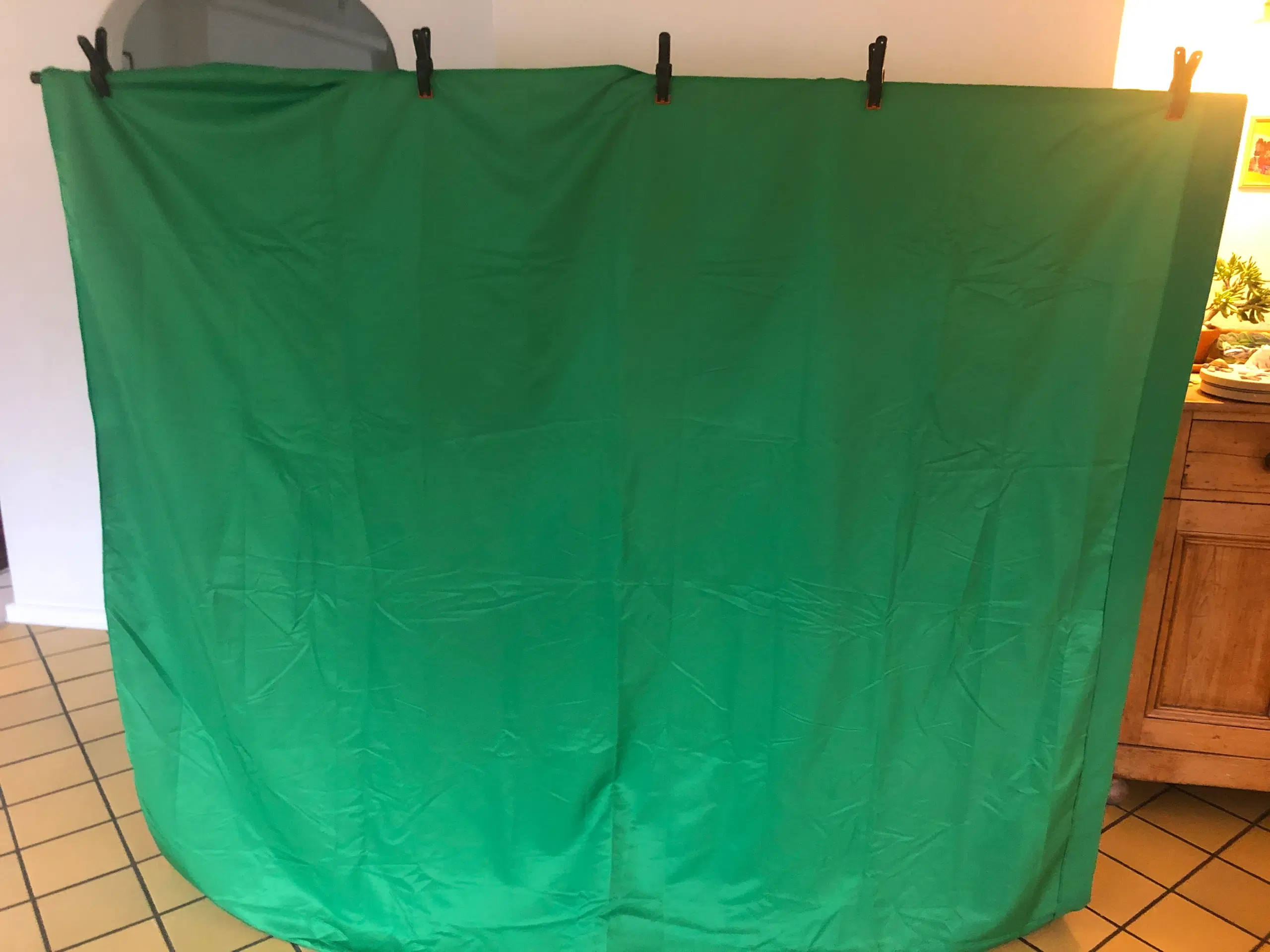 Greenscreen med stativ