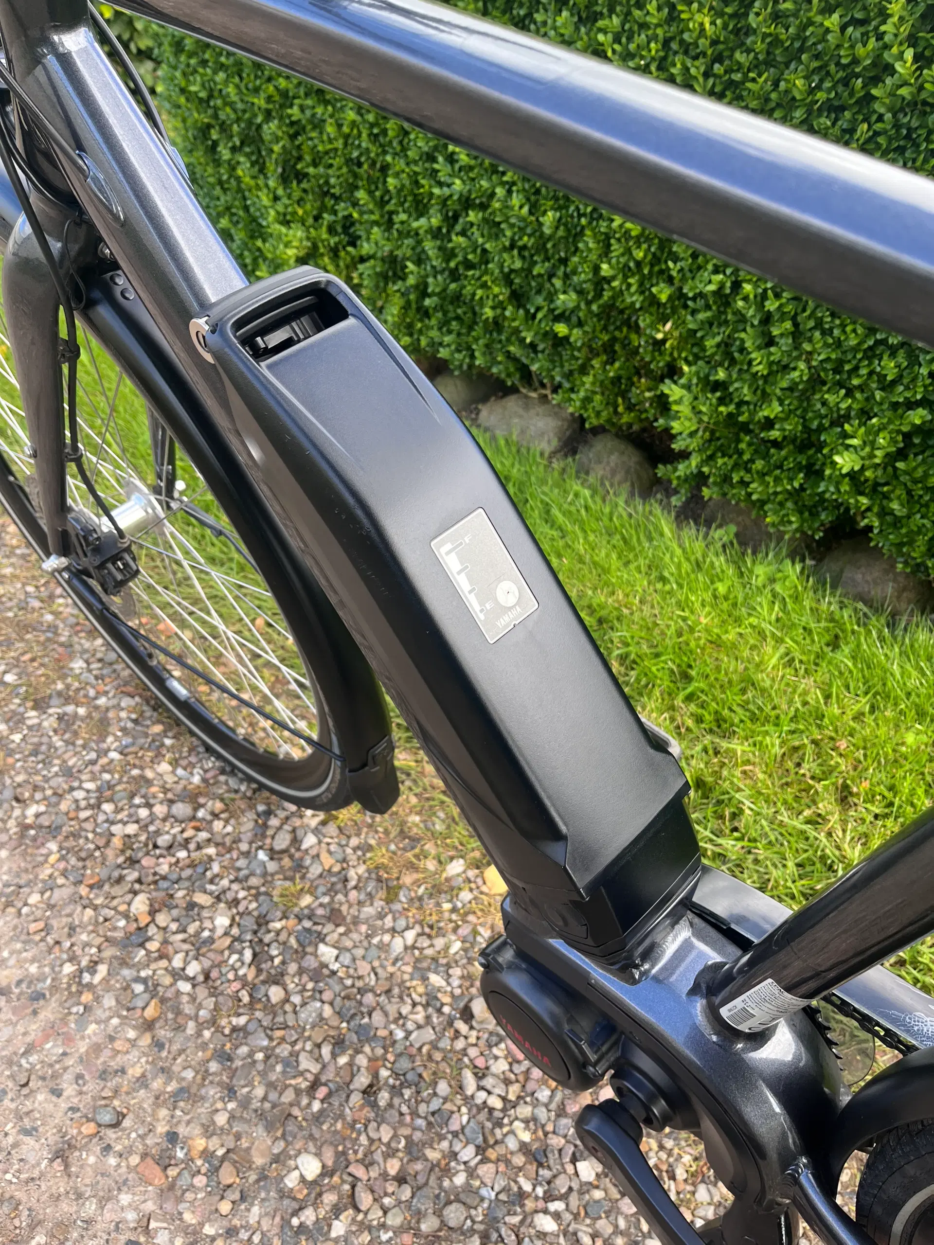 Batavus Razer E-Go Limited (elcykel)