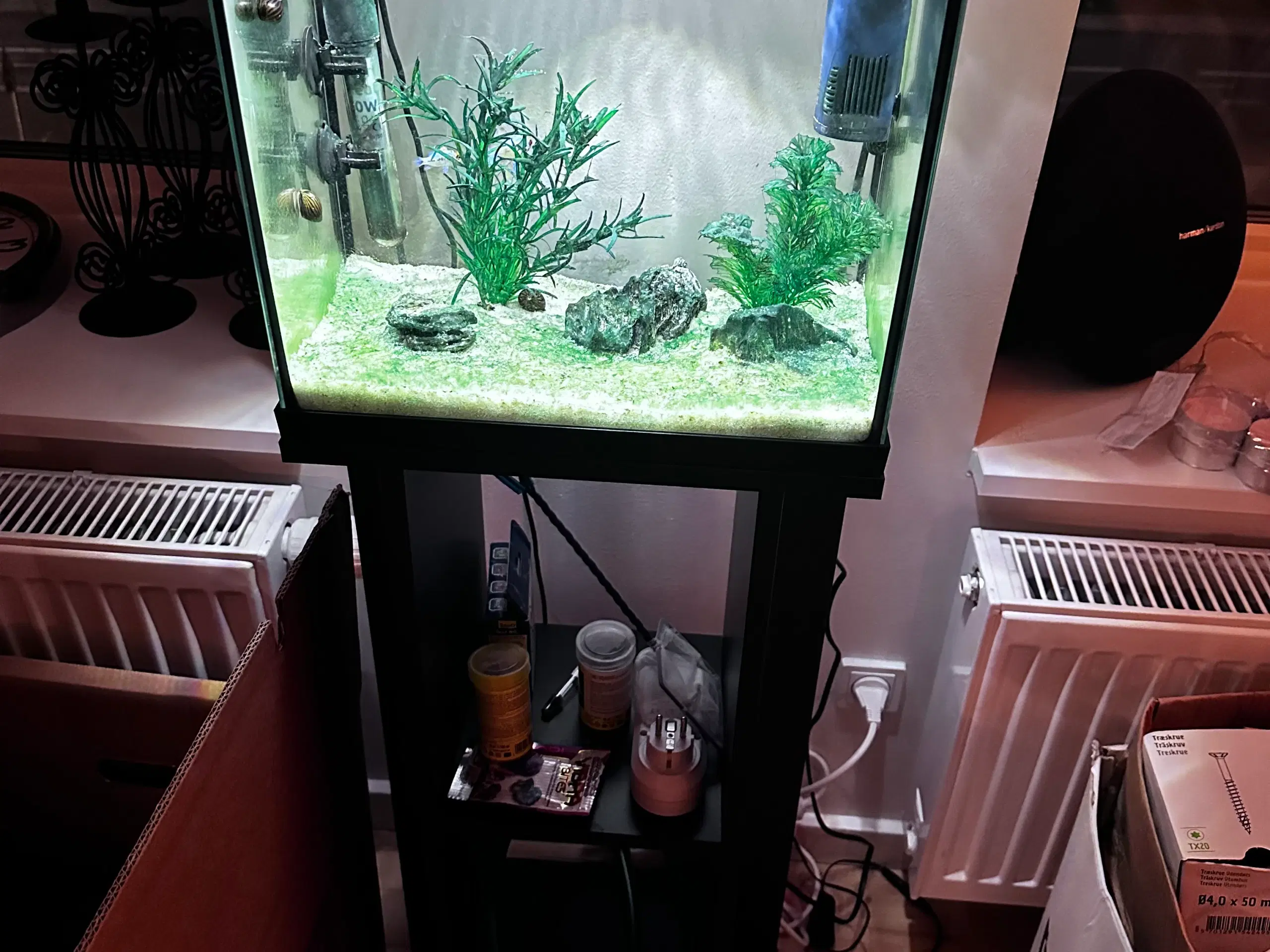 Begynder akvarium inkl alt