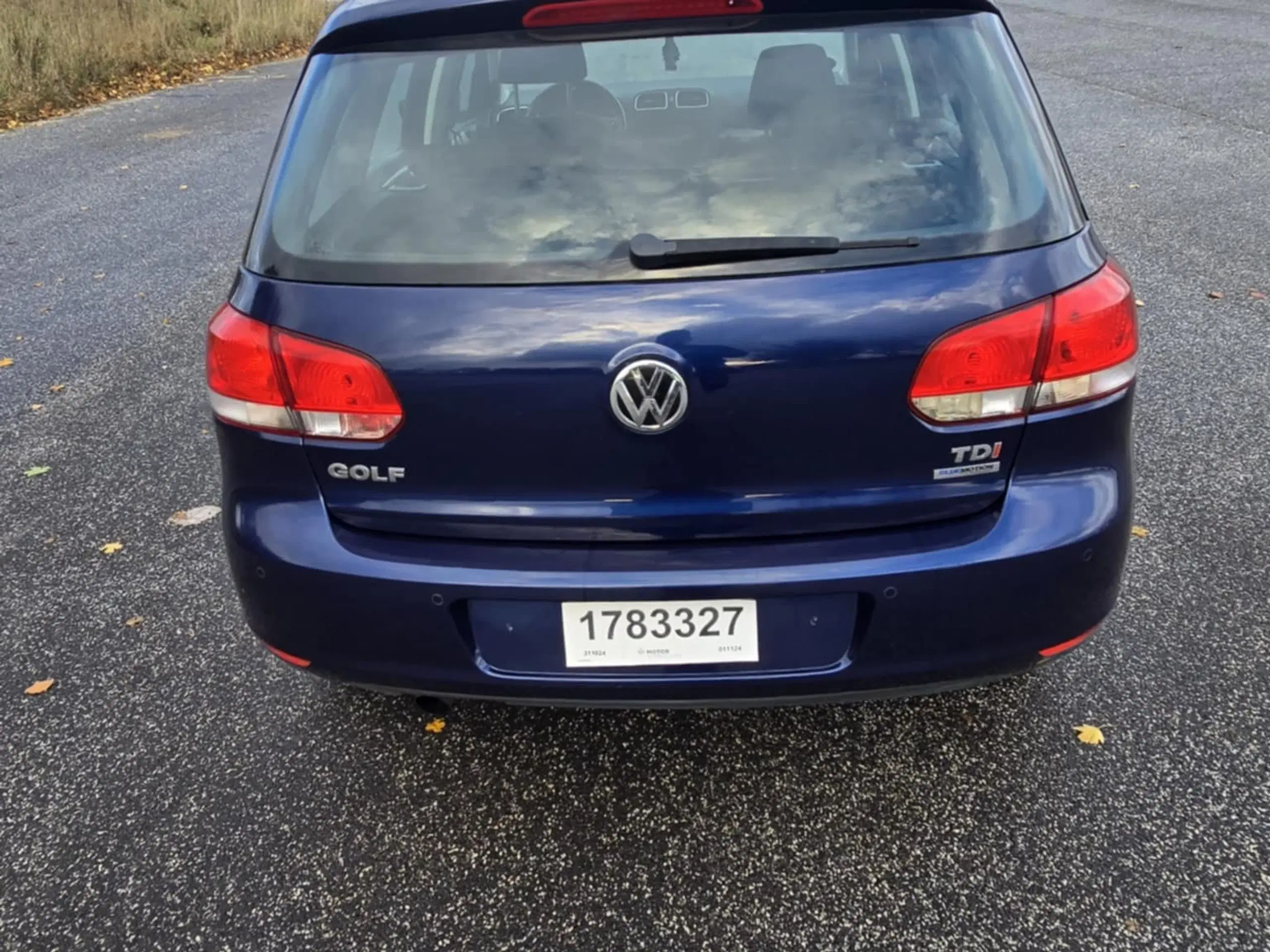 Volkswagen Golf 1.6 Tdi