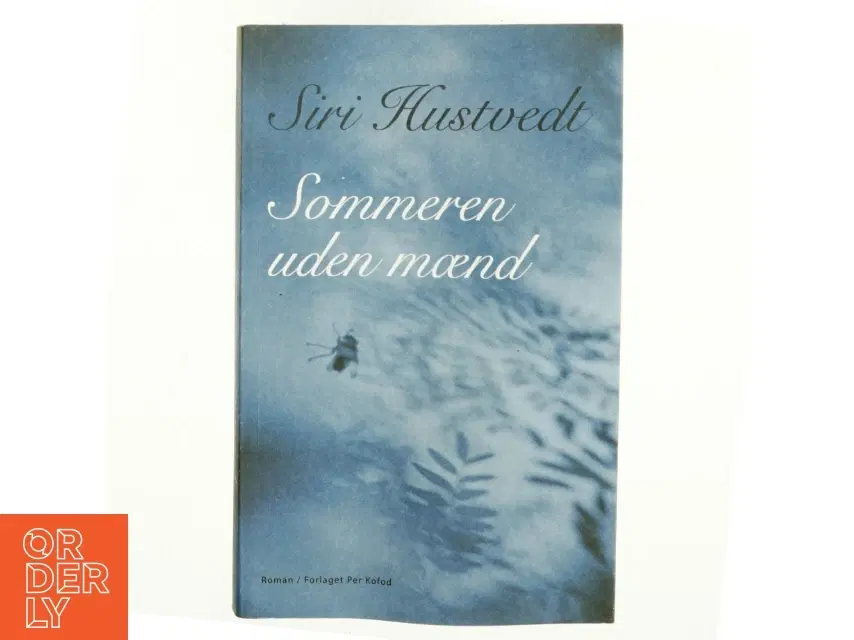 Sommeren uden mænd : roman af Siri Hustvedt (Bog)