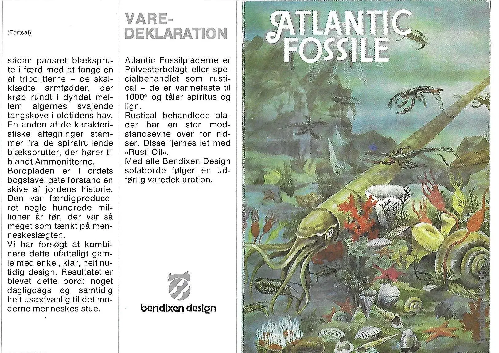 Atlantic ægte fossile Sten - Bord  helt unik