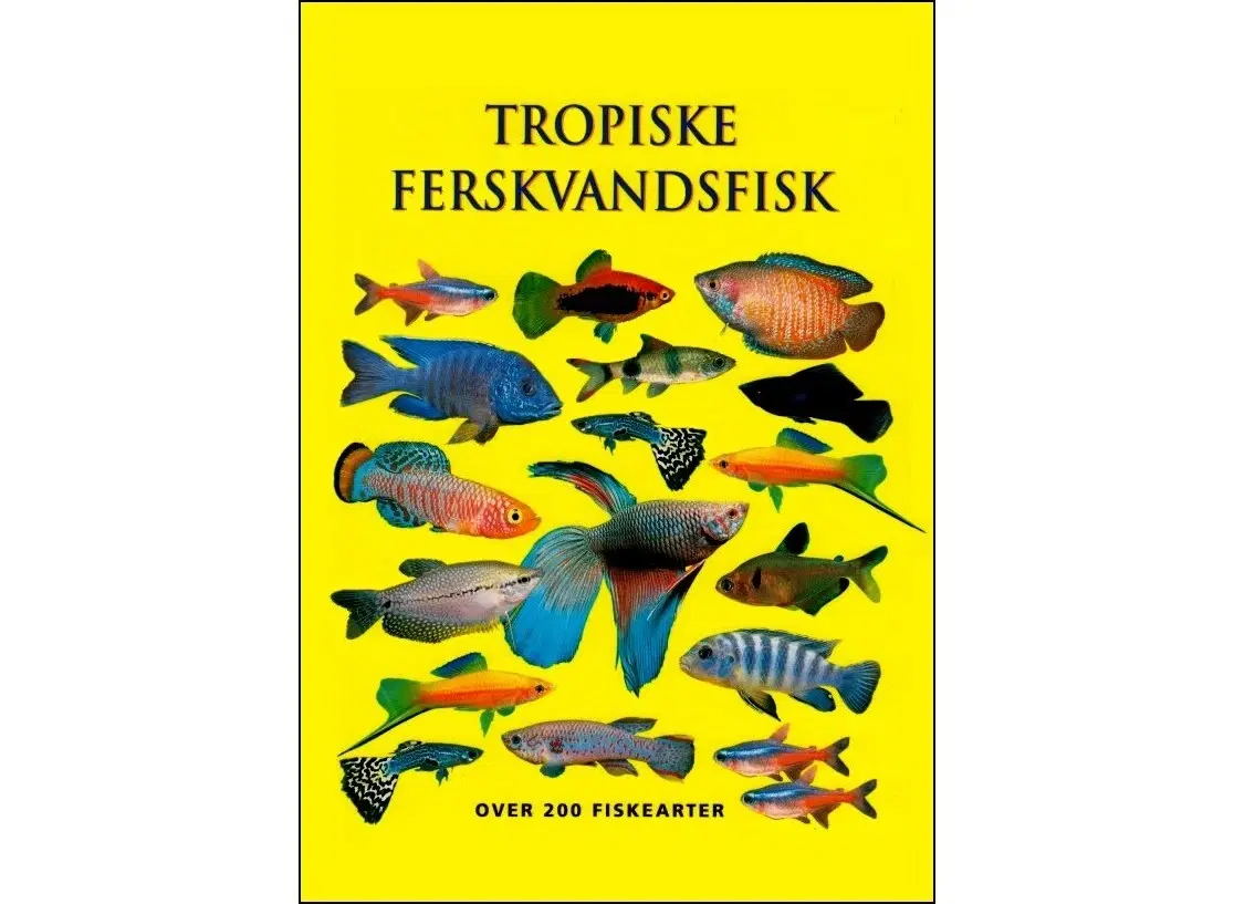 Tropiske Ferskvandsfisk