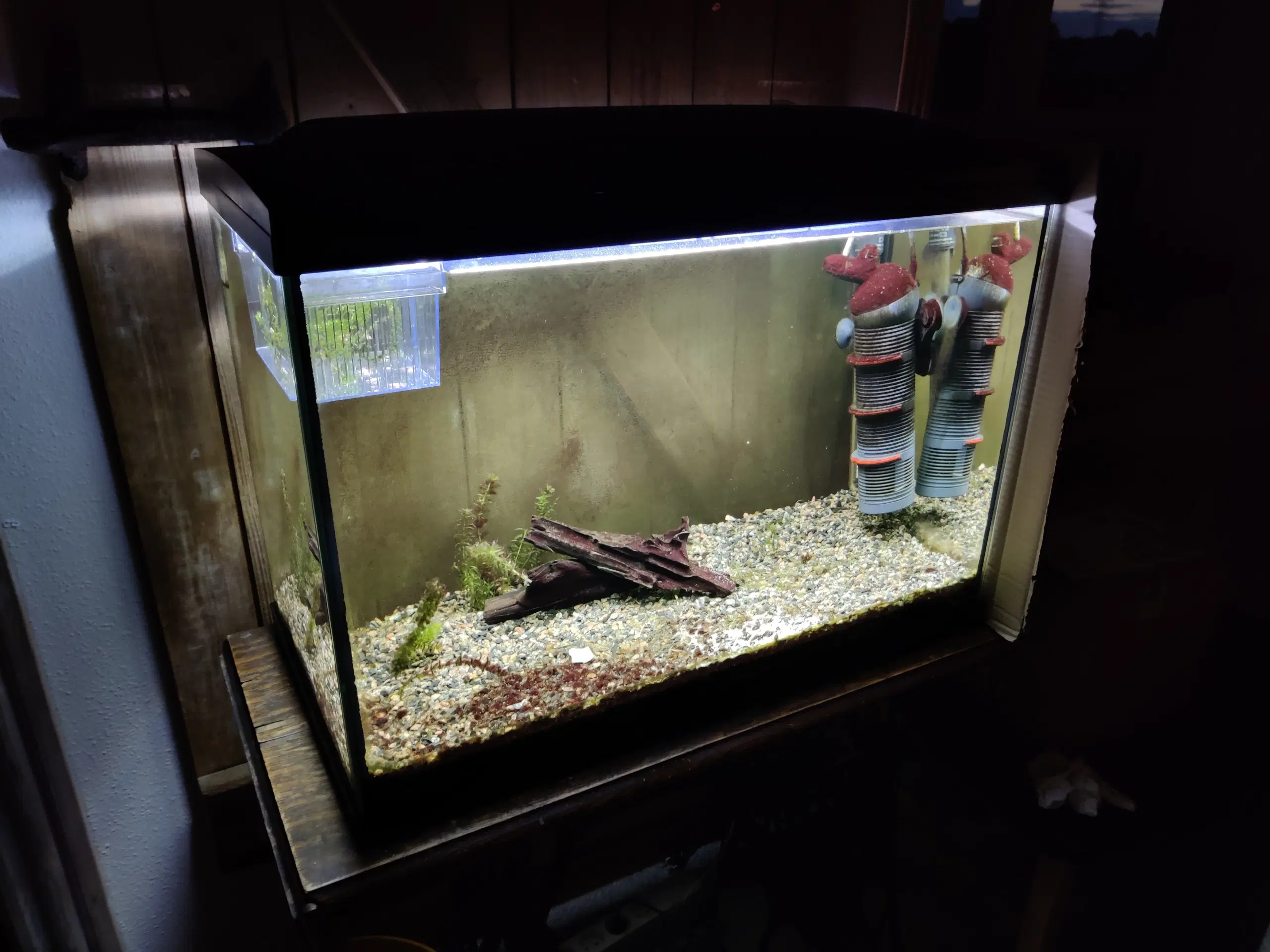 Akvarie 110l