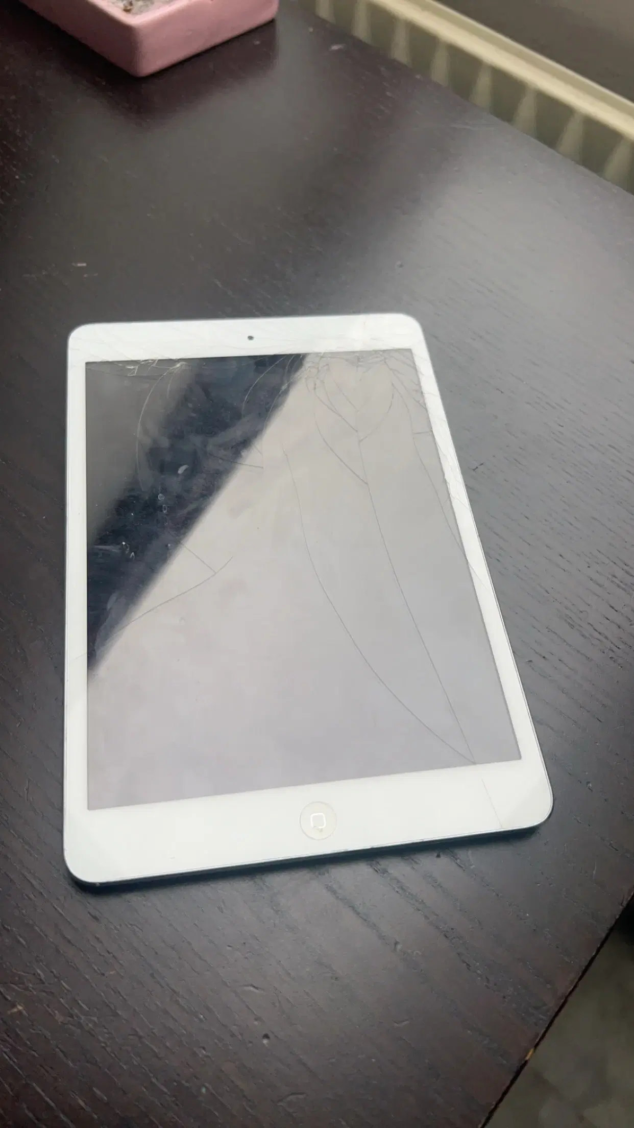 iPad mini