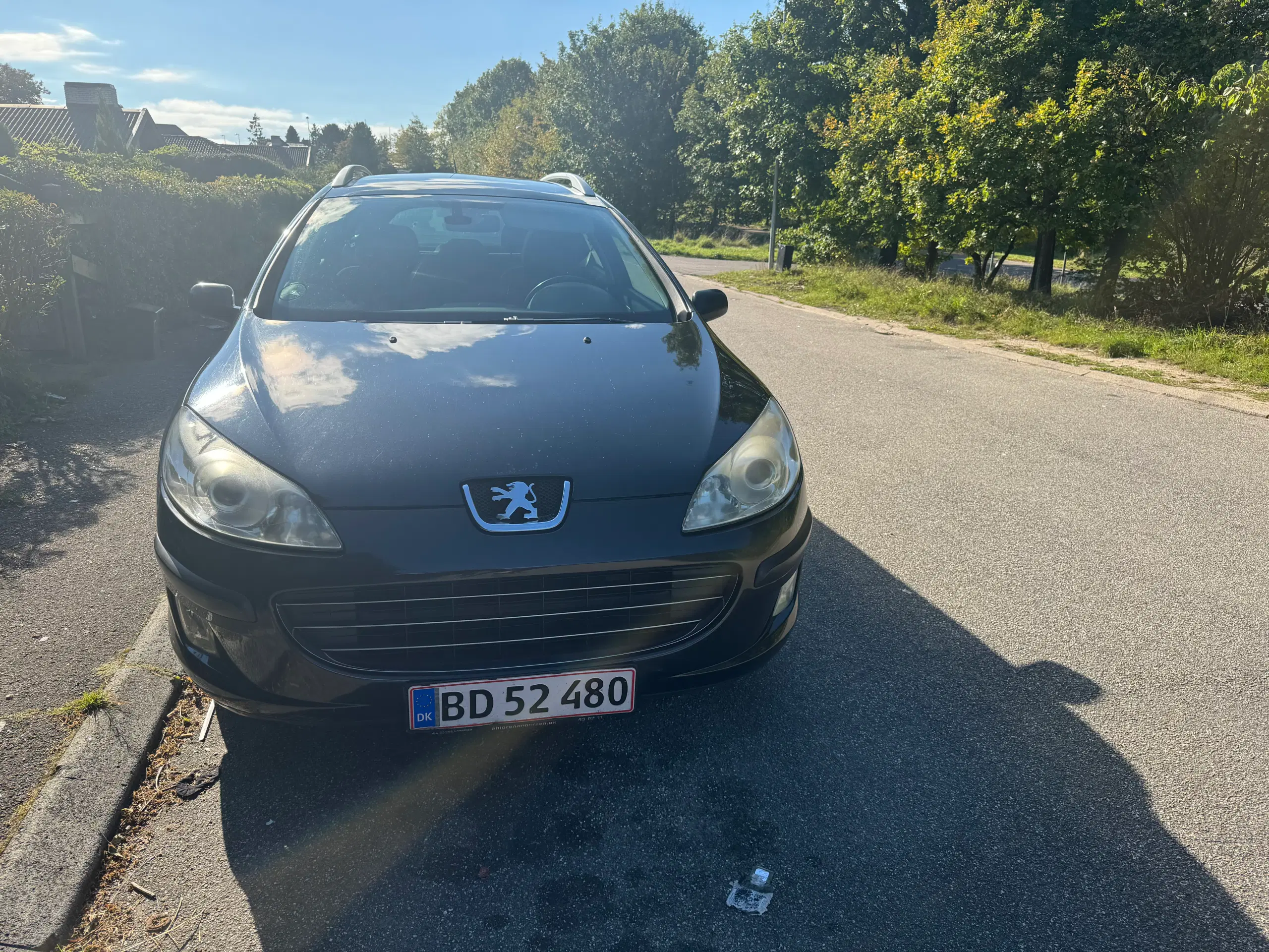 Peugeot 407 SW nysynet