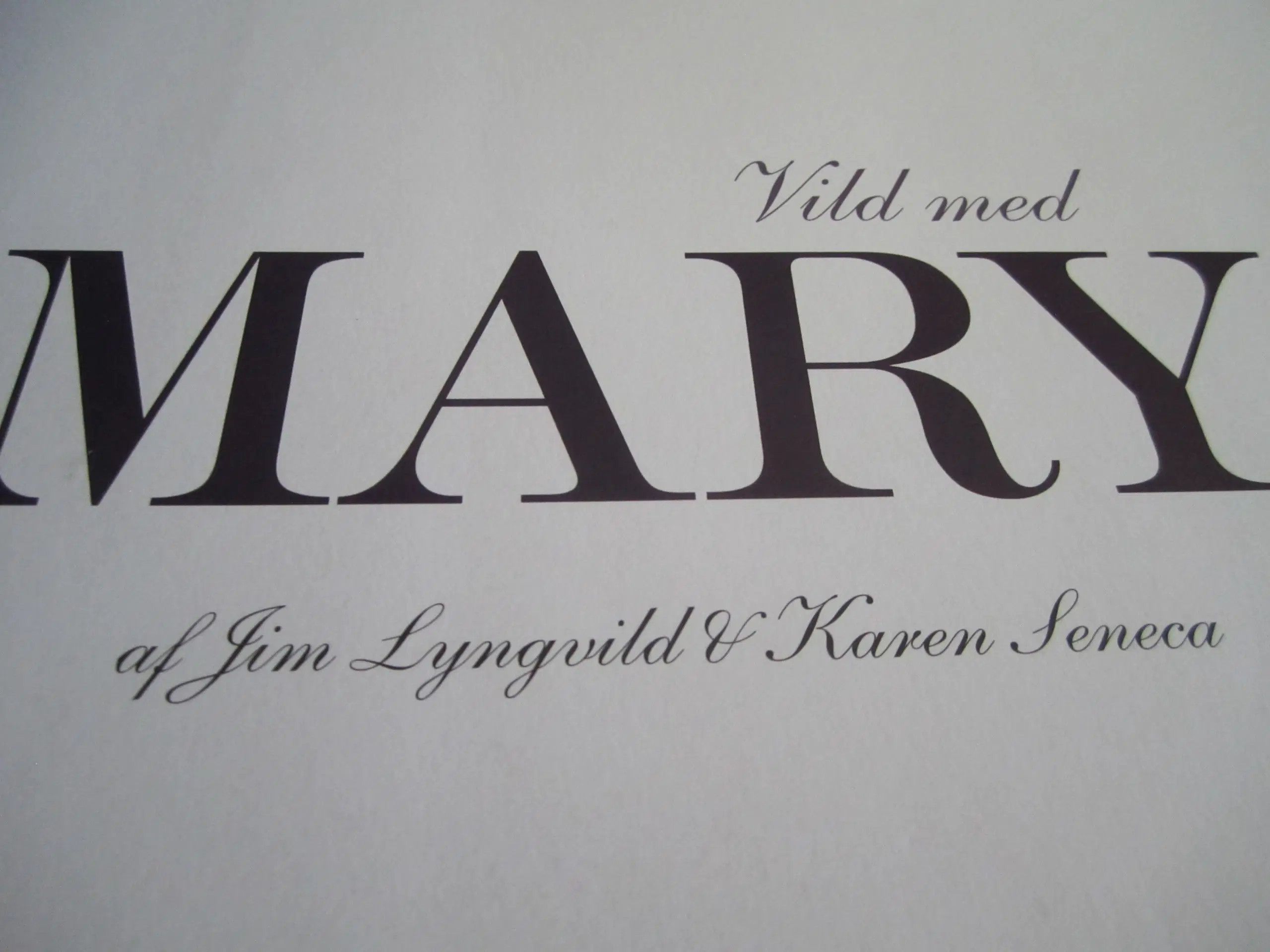 Jim Lyngvild VILD MED MARY