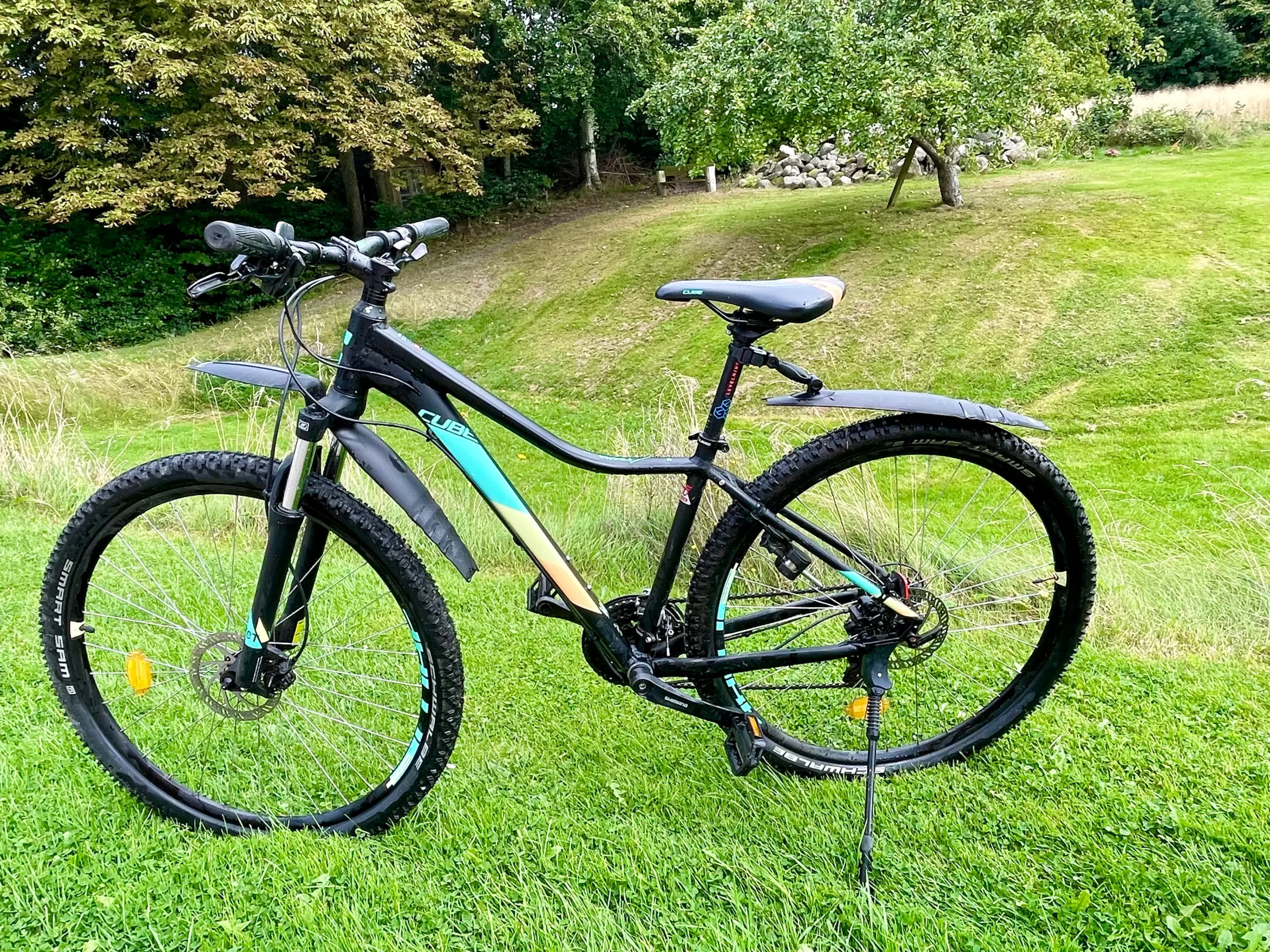 Velholdt dame mountainbike