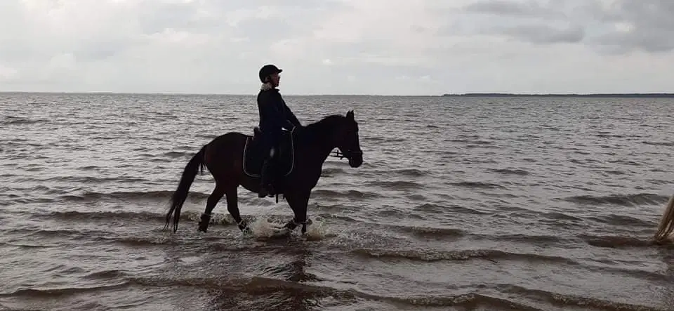 Boomerang søger ny rytter