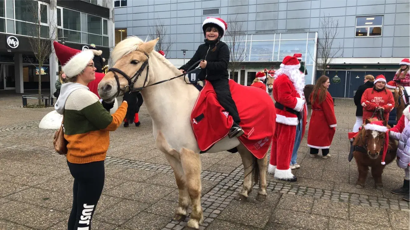 Pony søges gerne udlån med forkøbsret