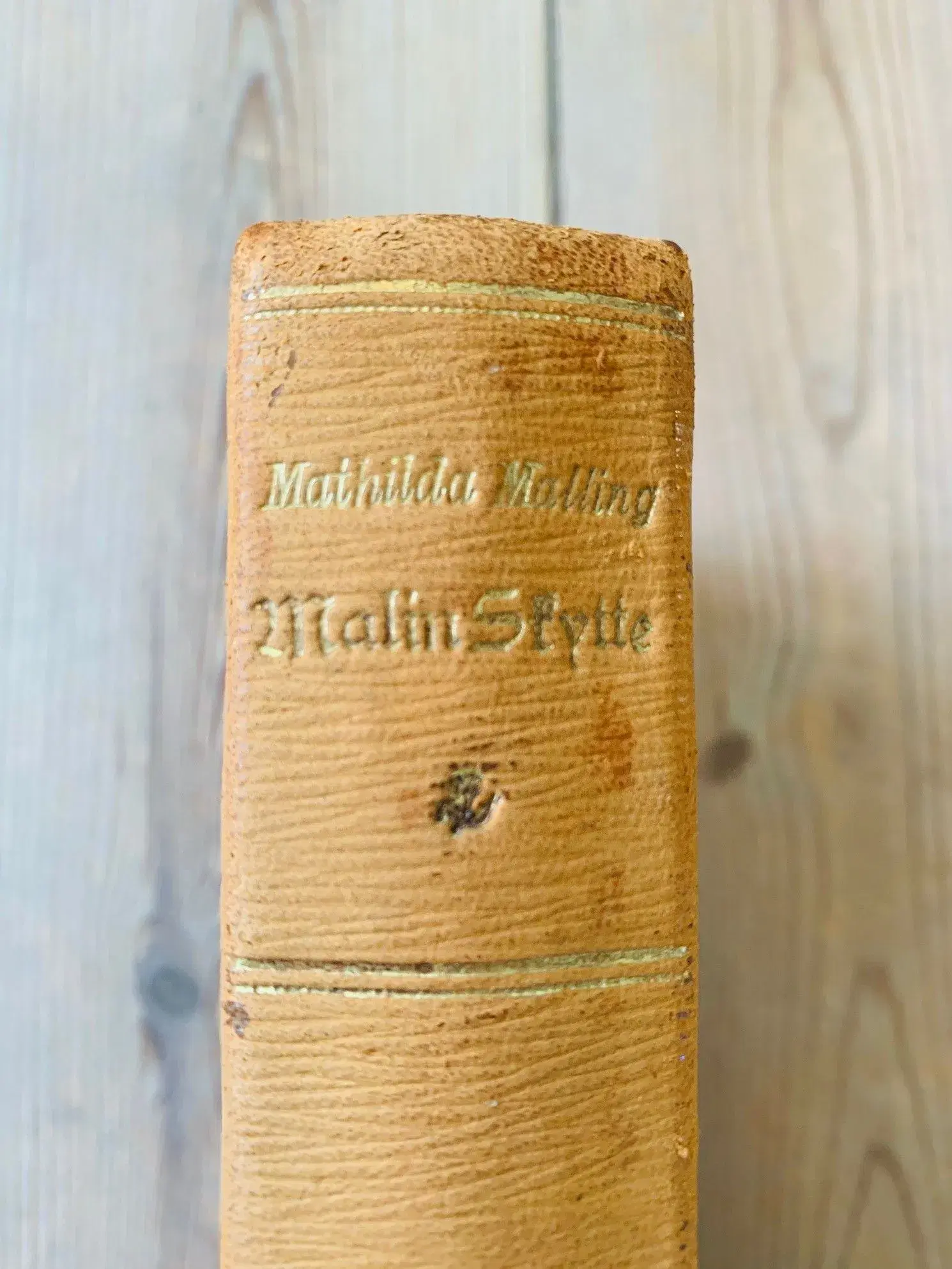 Malin Skytte (1901) af Mathilda Malling