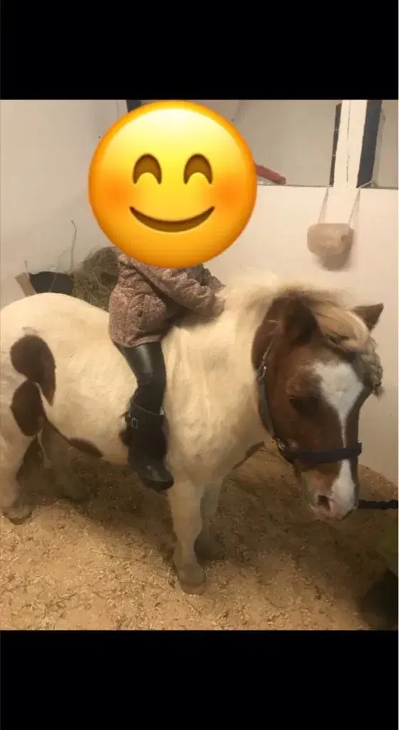 Lække pony