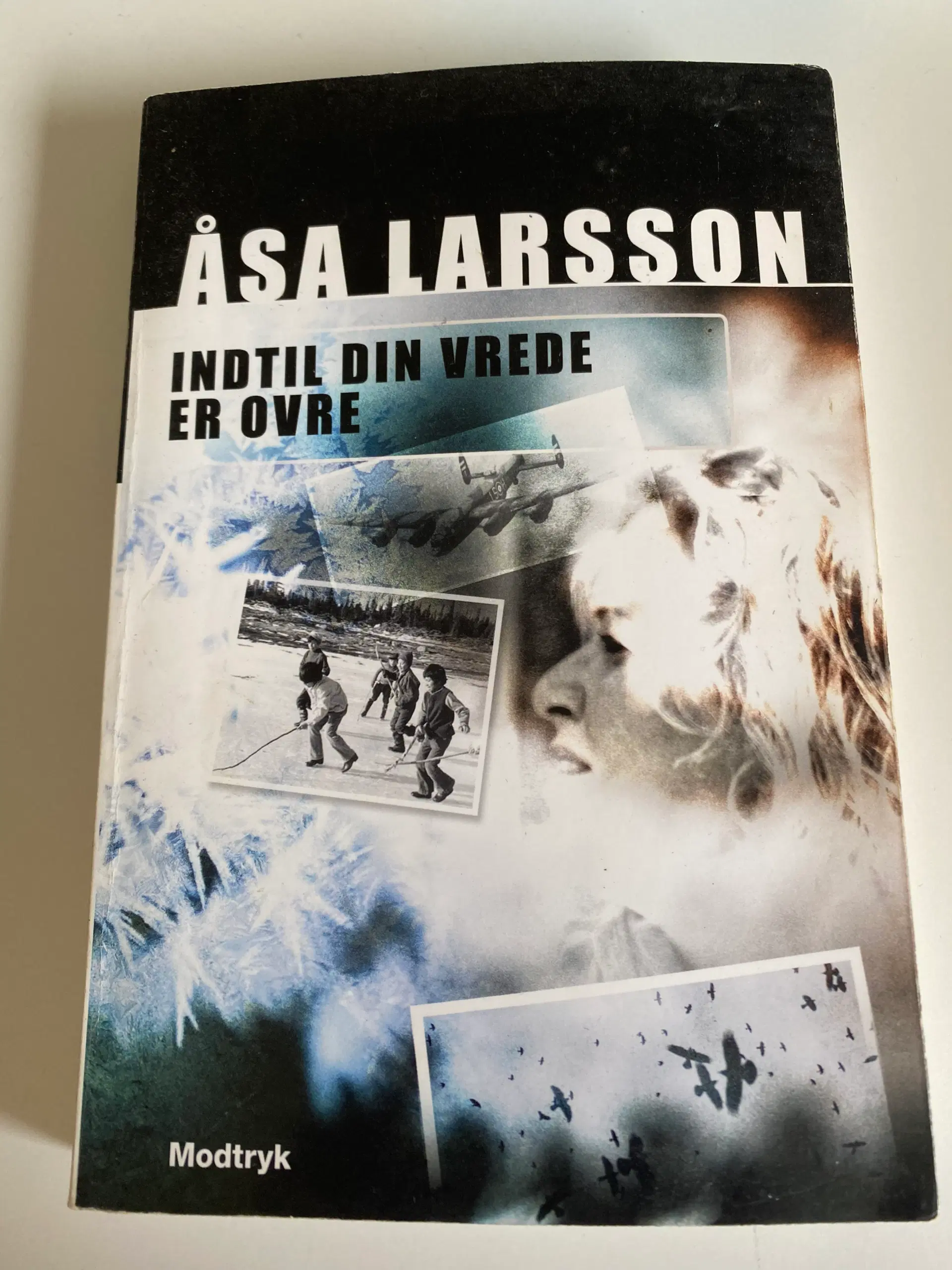 Indtil din vrede er ovre af Åsa Larsson: