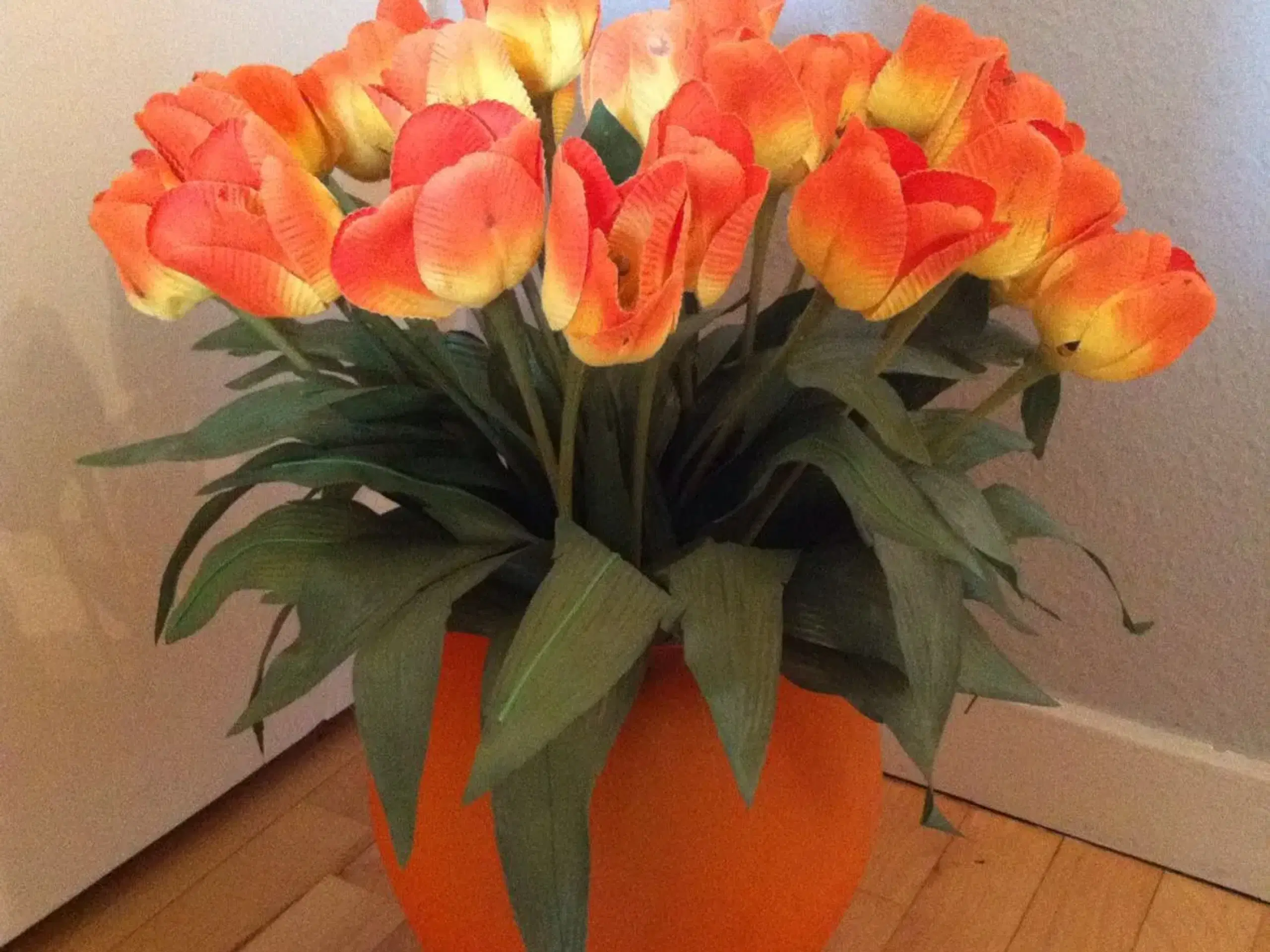 Orange tulipaner til salg