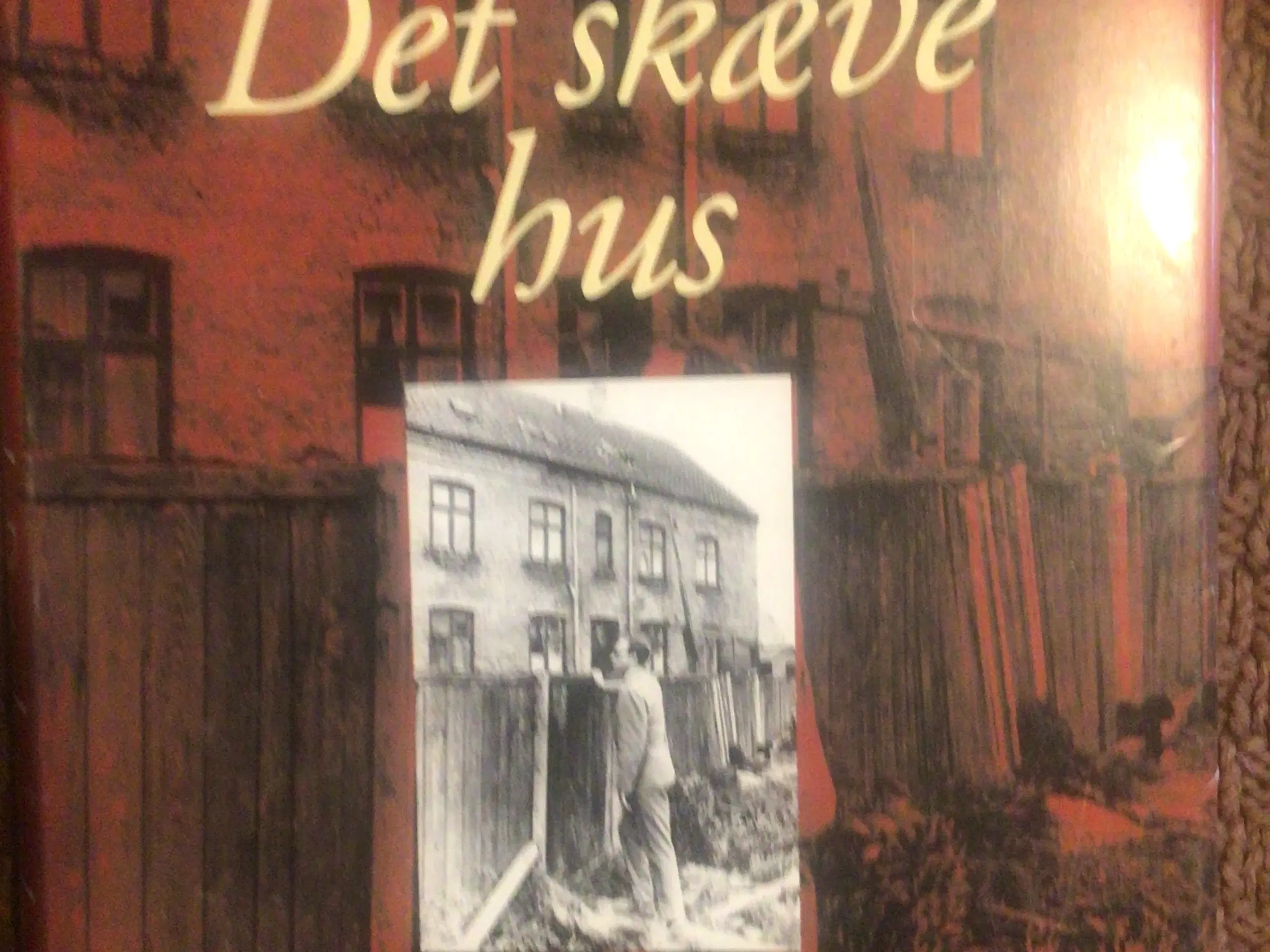 Erik Nørgaard,: Det skæve hus