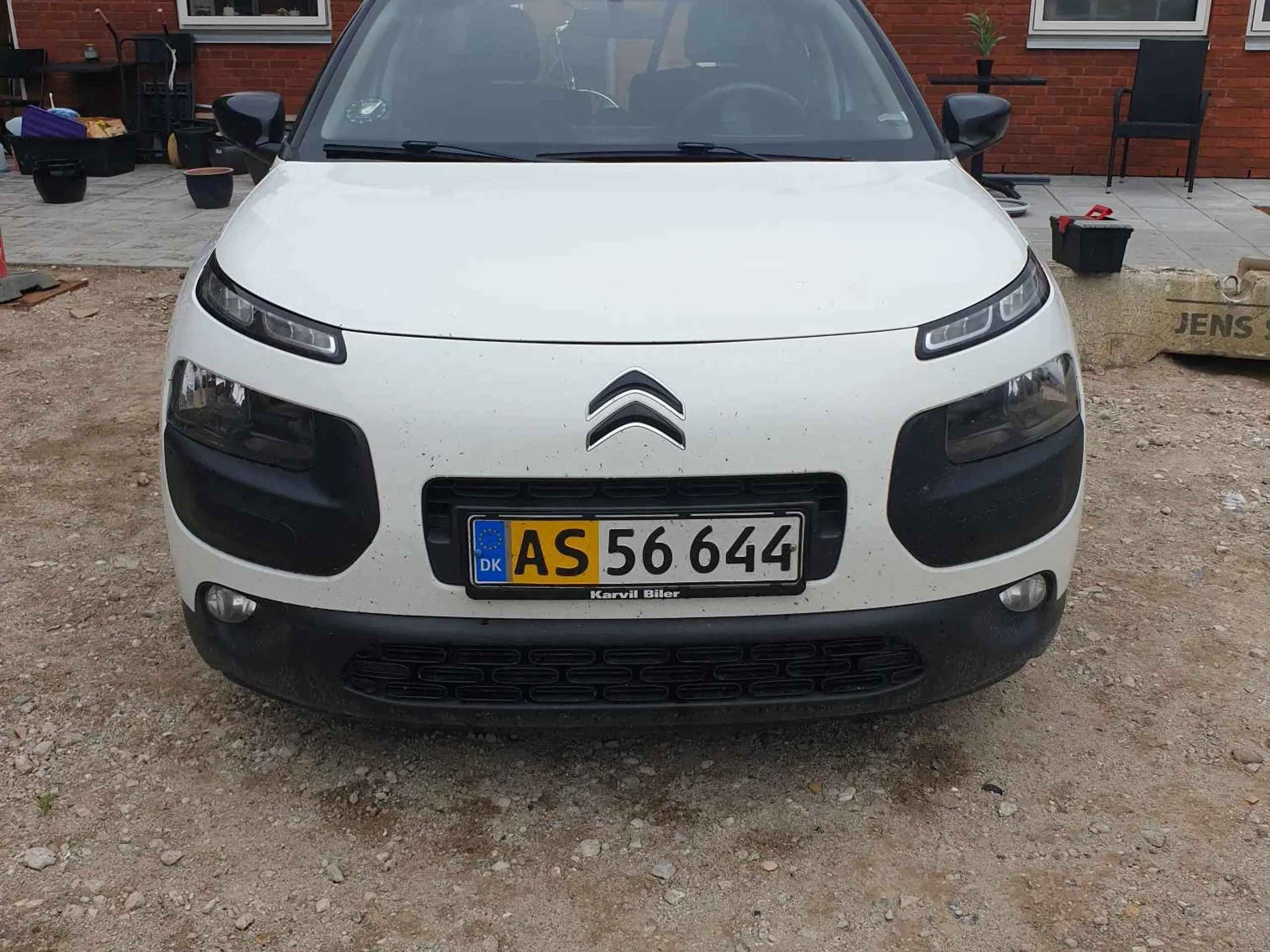 Citroen cactus