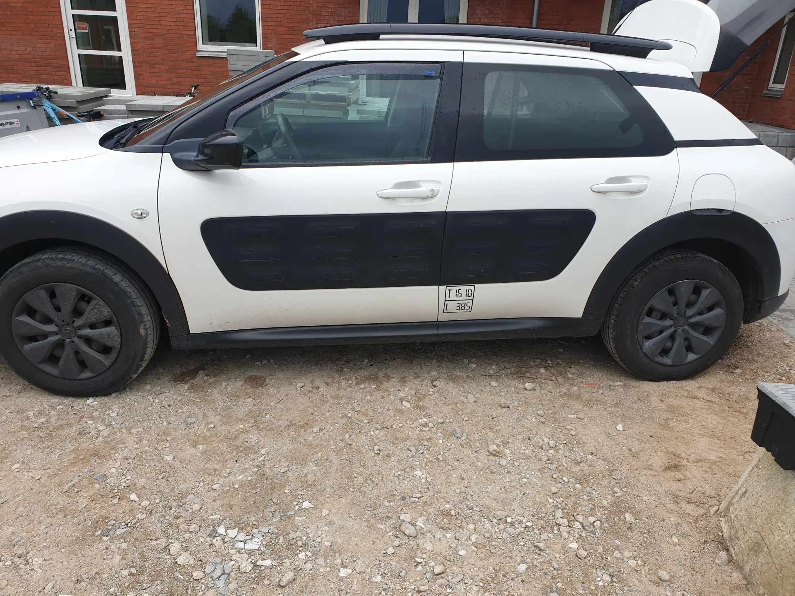 Citroen cactus