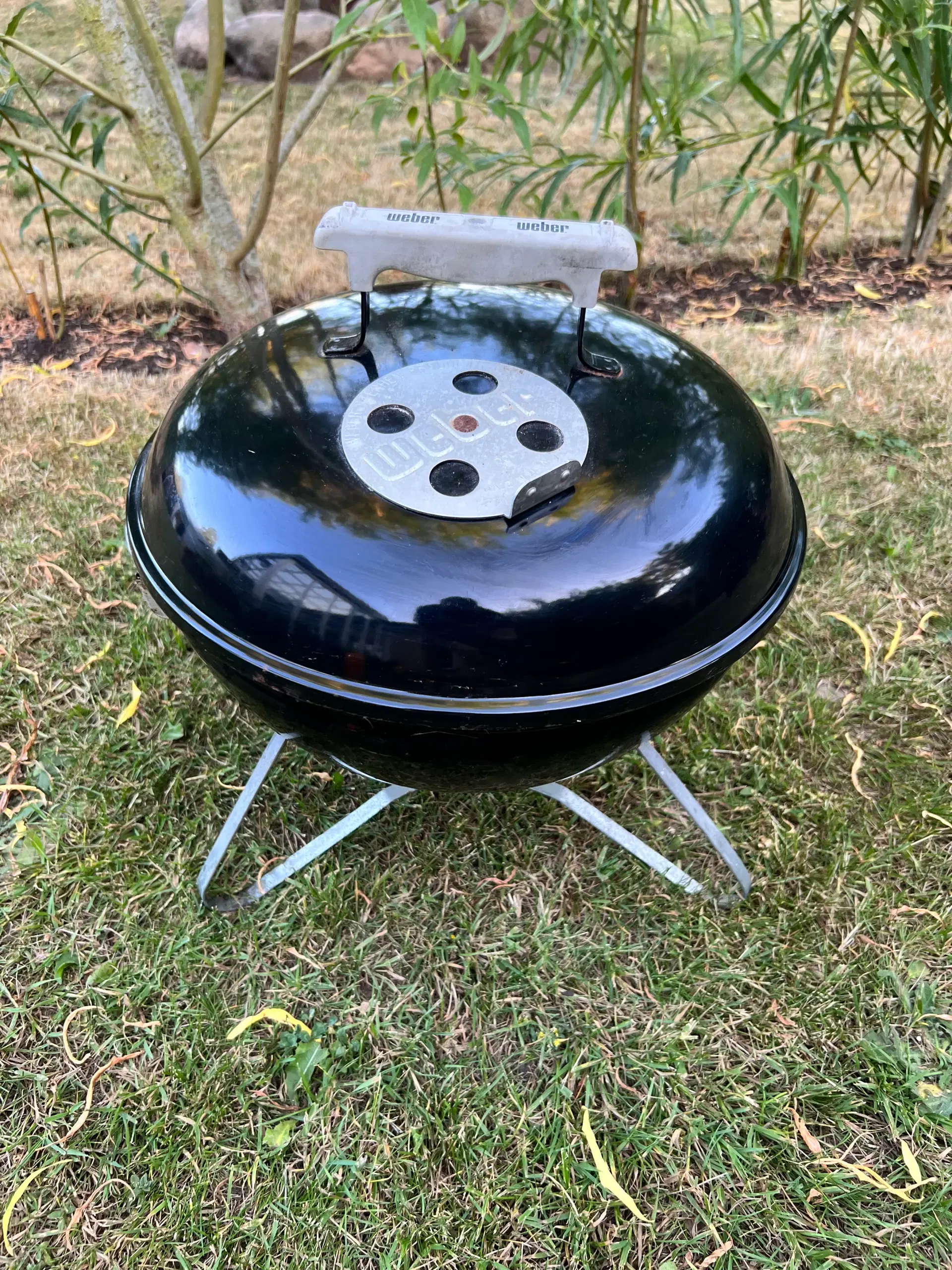 Weber Smokey Joe